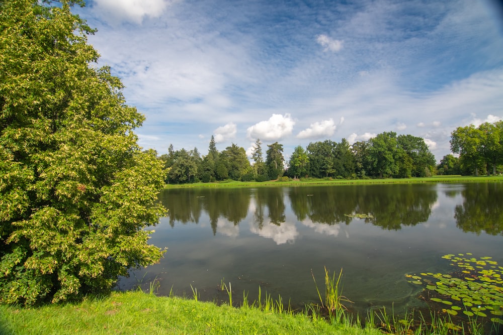 a lake surrounded by lush green grass and trees
