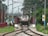 A train is approaching on a railway track surrounded by lush greenery. Electric poles and wires are prominently visible along the sides of the track. The scene appears to be in a rural or semi-rural area, with trees and shrubs adding to the natural environment.