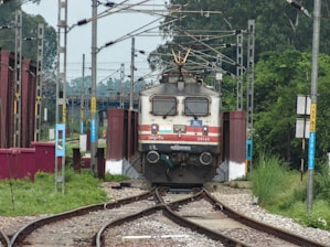 An electric train is moving along a railway track surrounded by lush greenery. Overhead electric lines are visible, supported by metal poles. The train appears to be approaching a bridge structure, with various signals and signs along the tracks.