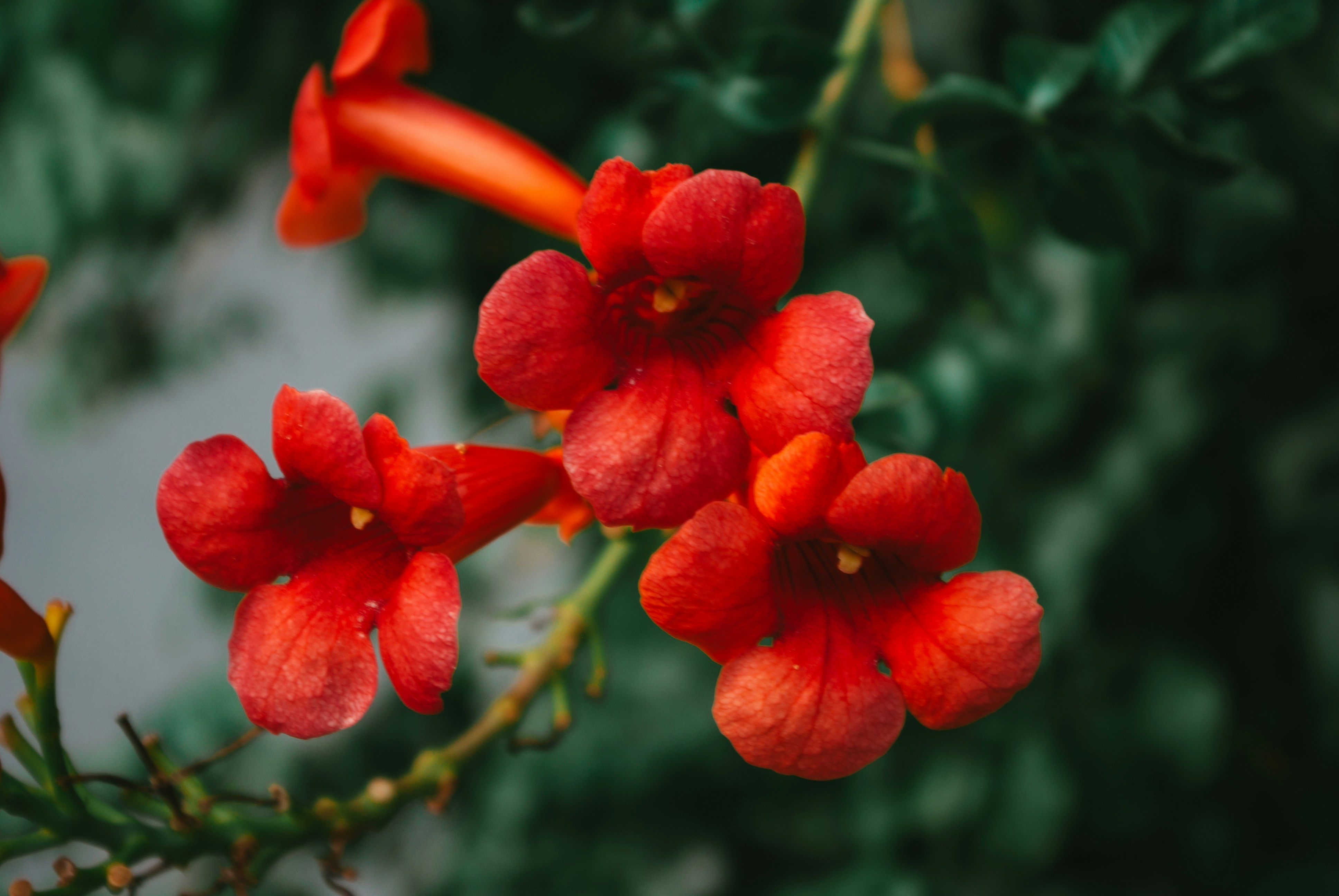 Photo by moonmoons_days