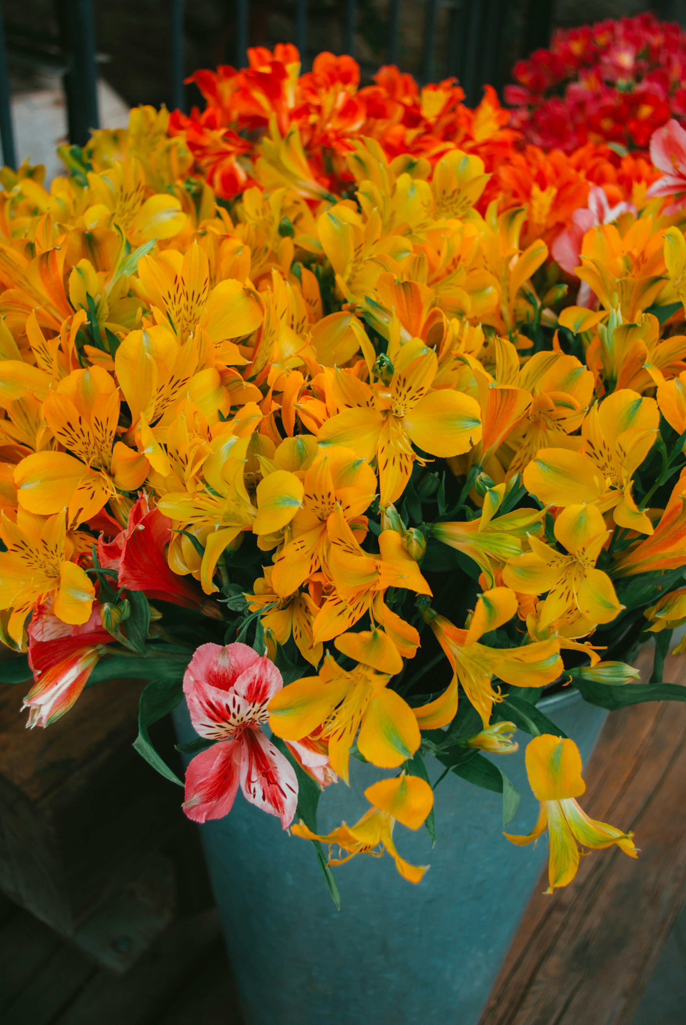 Photo by moonmoons_days