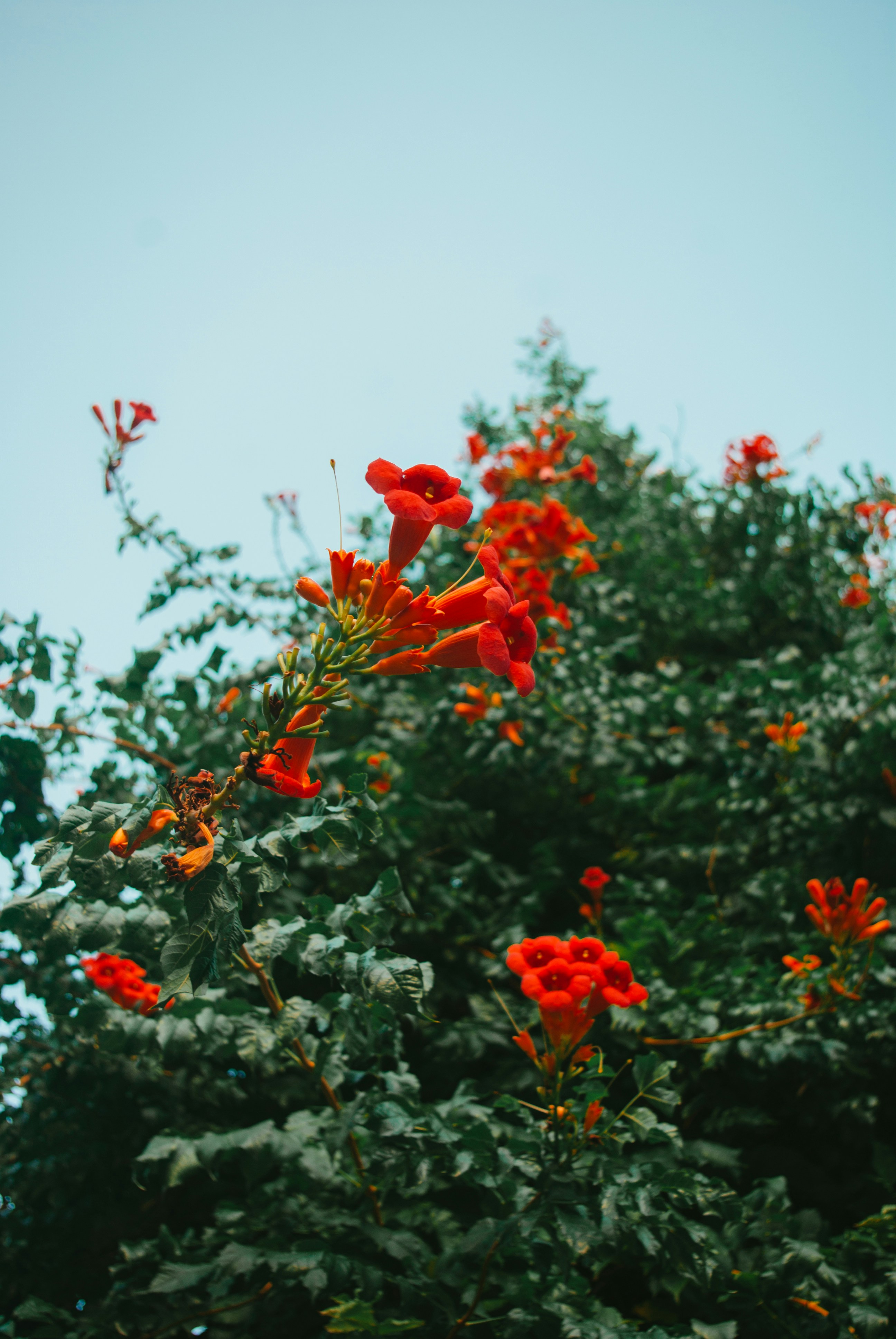 Photo by moonmoons_days