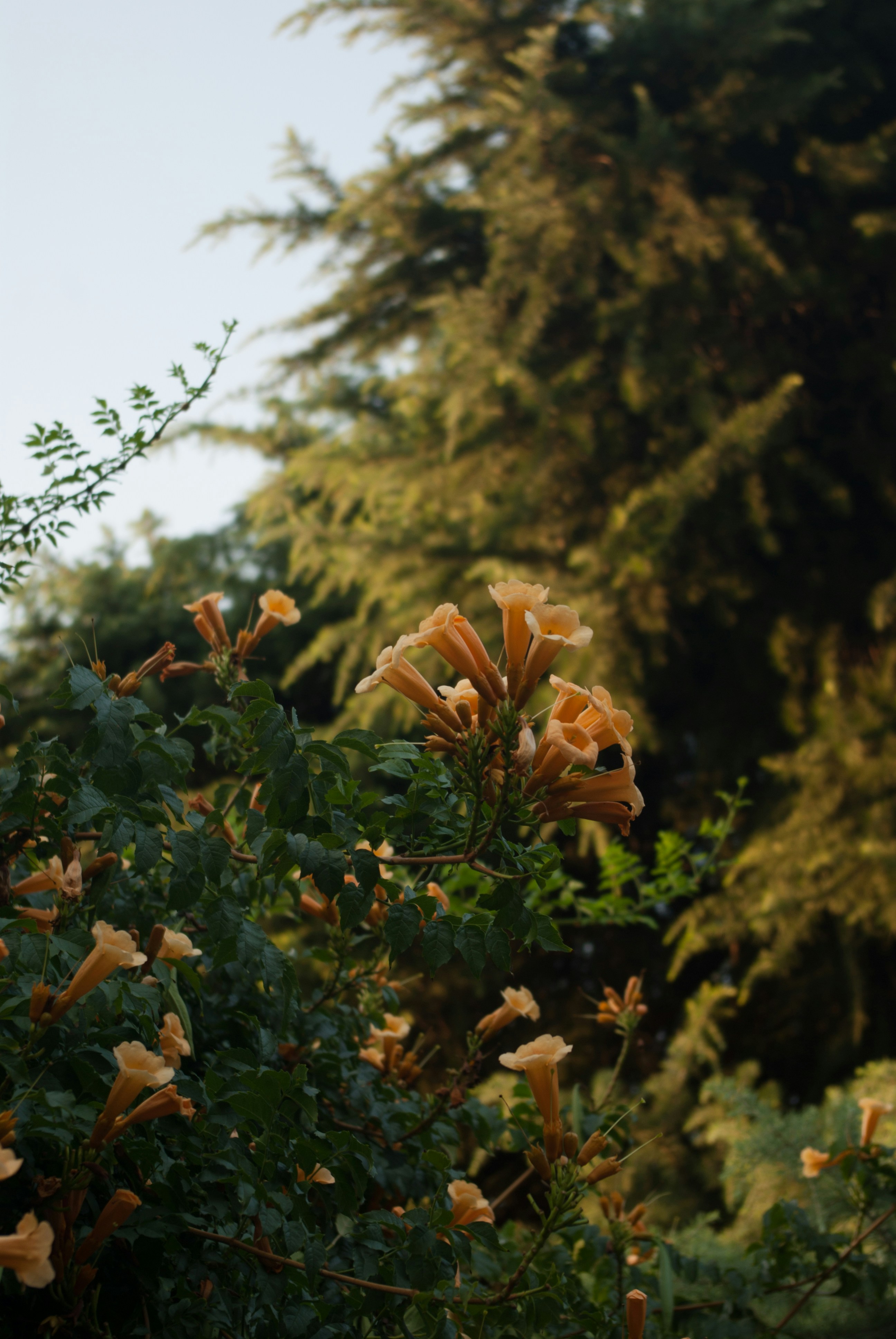 Photo by moonmoons_days