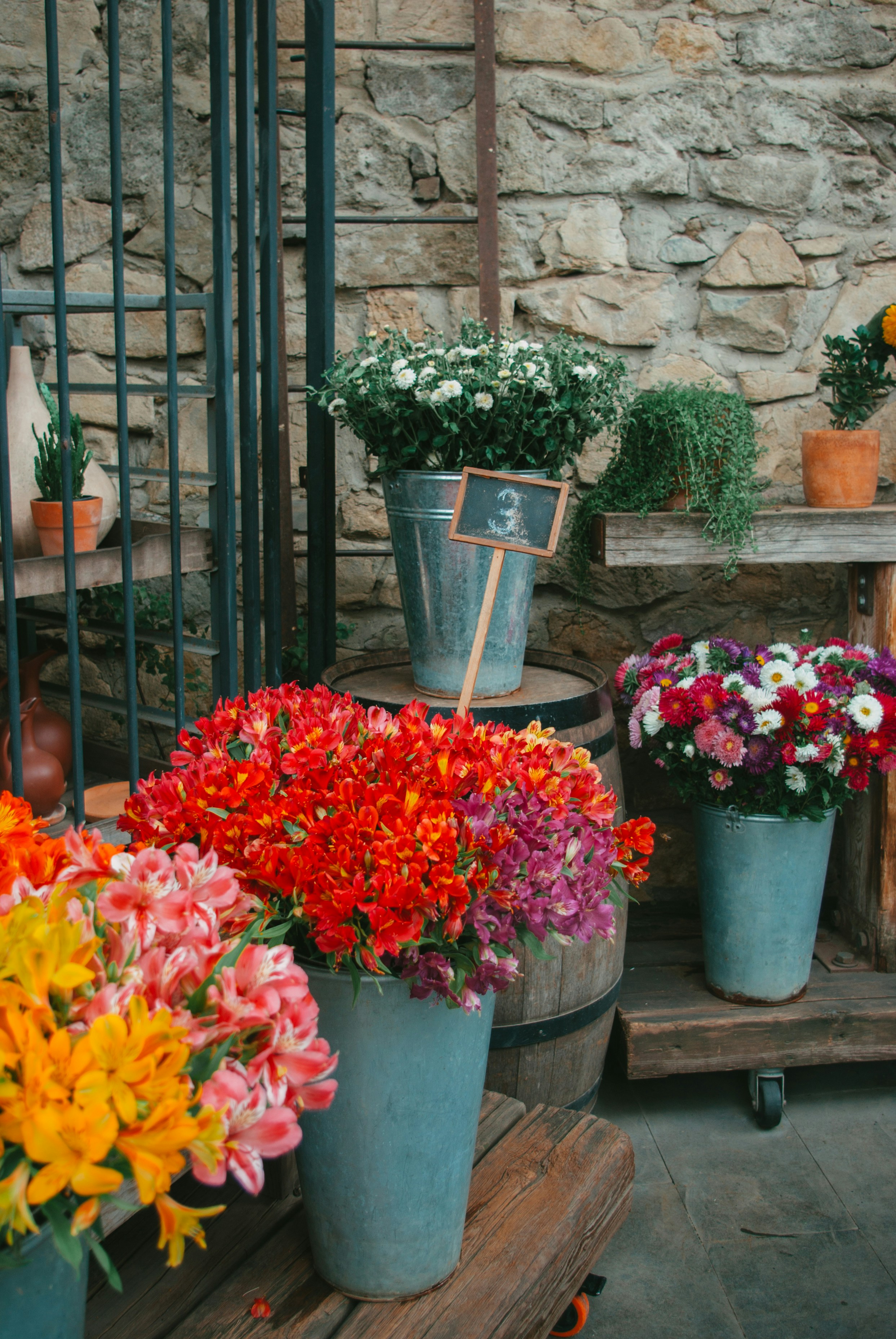 Photo by moonmoons_days