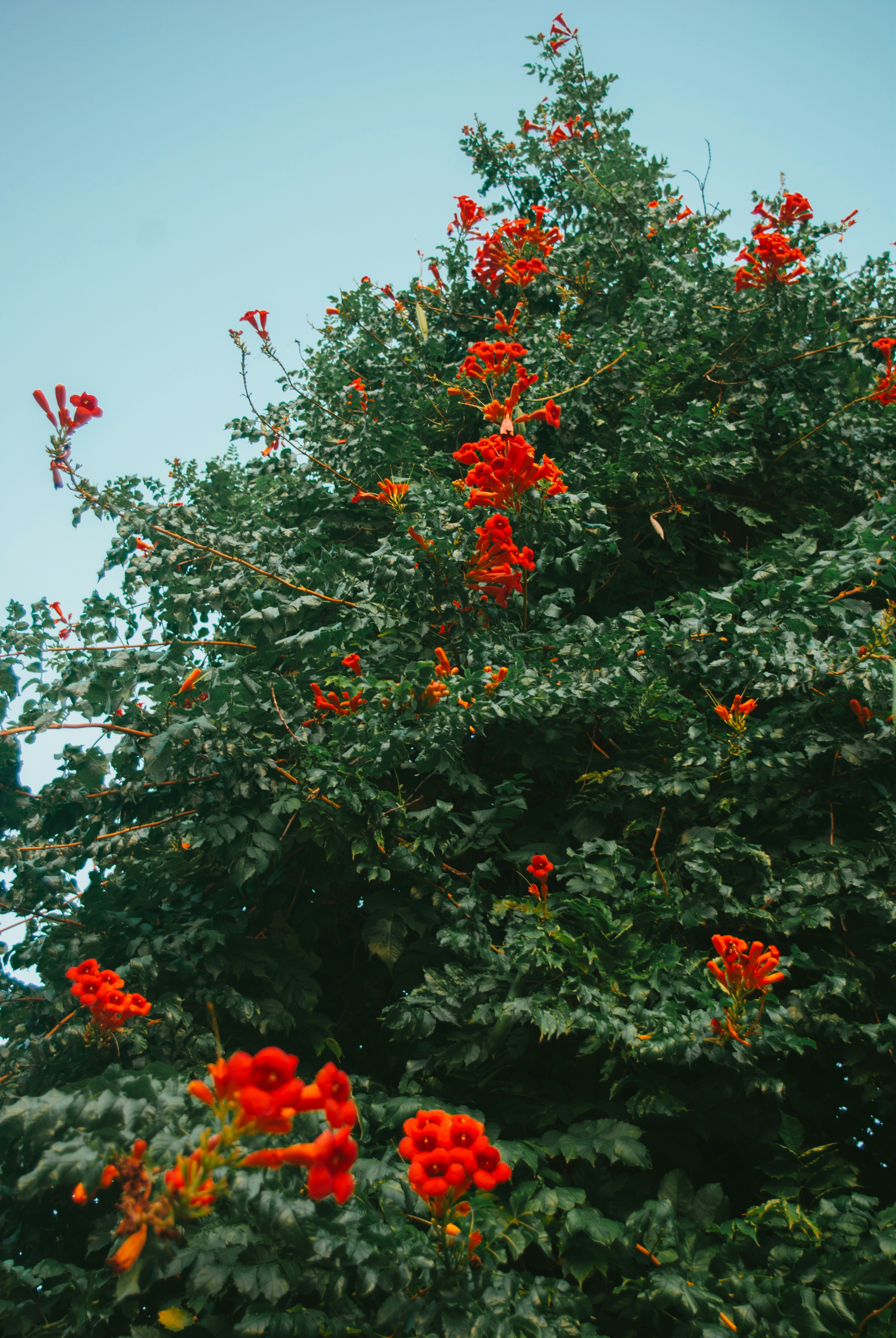 Photo by moonmoons_days