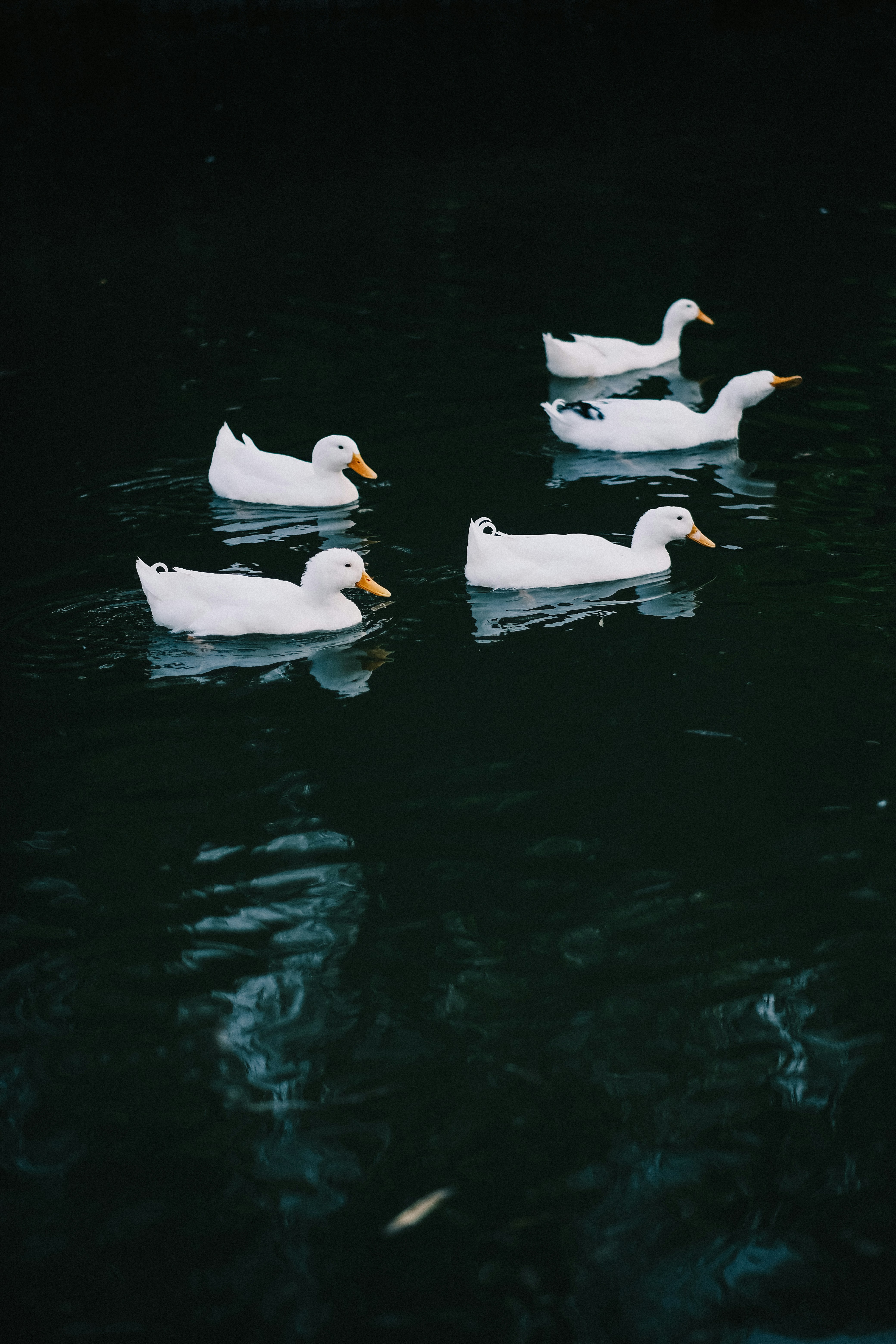 Photo by maycloudbackup