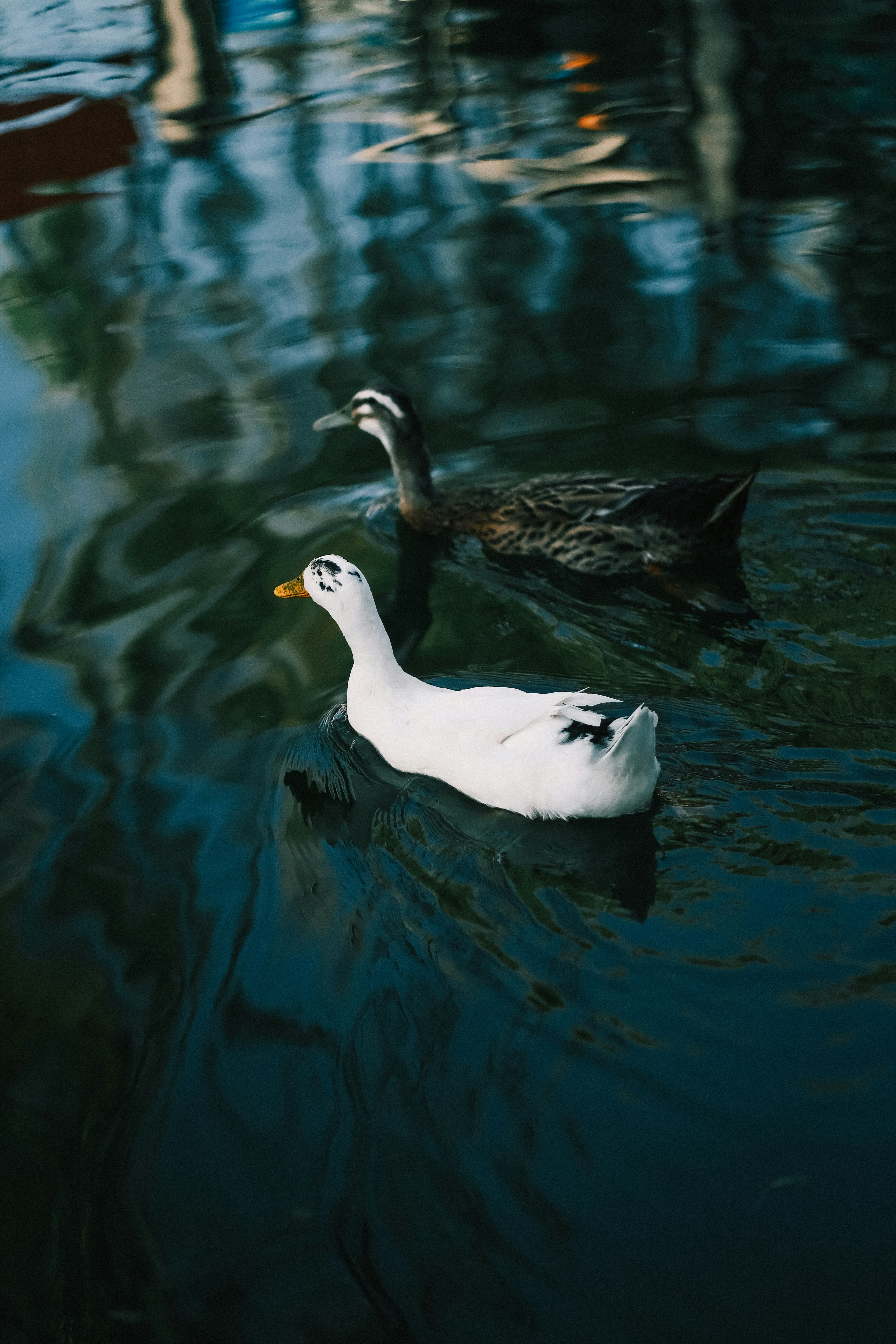 Photo by maycloudbackup