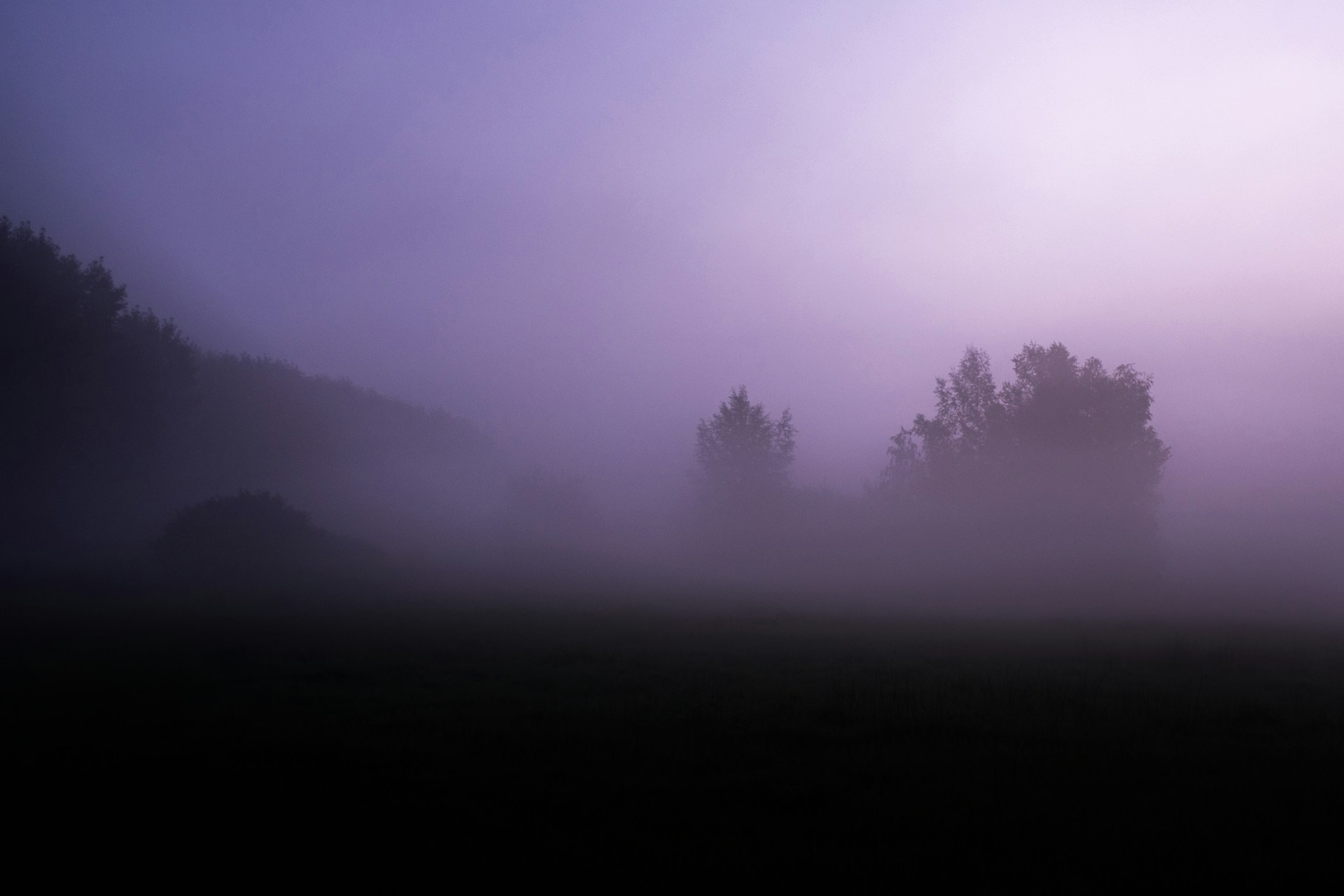 a foggy field with trees in the distance