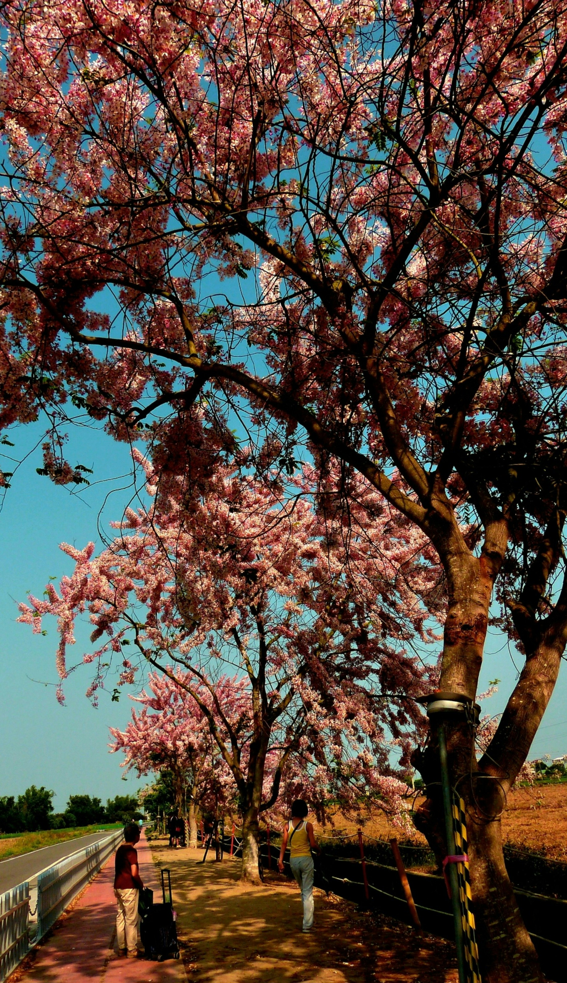 Photo by infinitytony