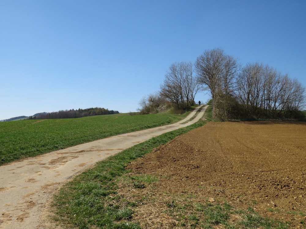 a dirt road going through a green field