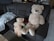 A cozy living room scene featuring a realistic racoon plushie sitting on a couch surrounded by children's toys.