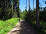 A man walking confidently along a forest path, sunlight filtering through the trees.
