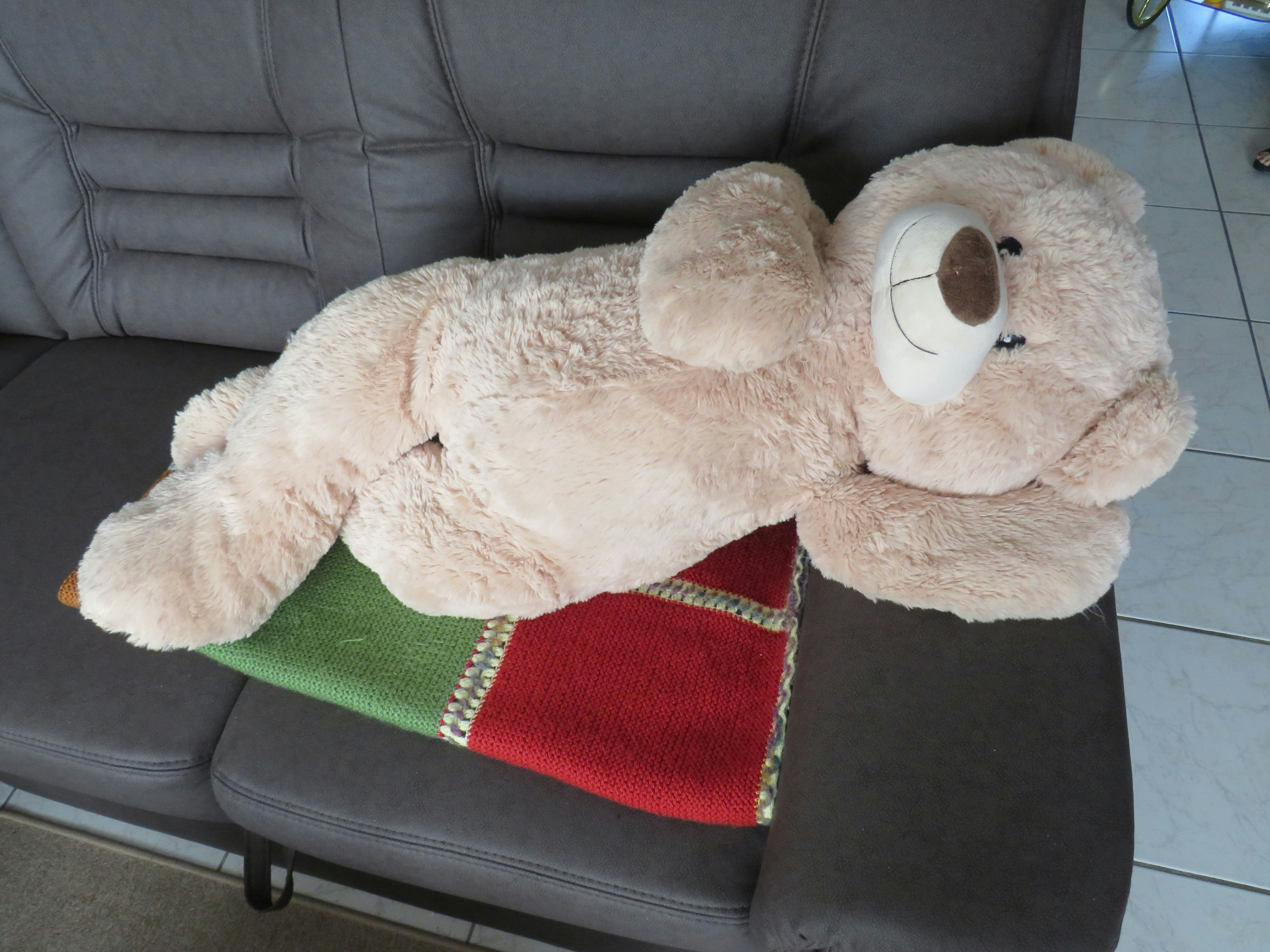 Adorable Plush Teddy Bear