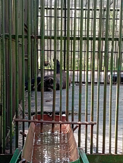 A spacious and comfortable pet cage designed for larger pets.