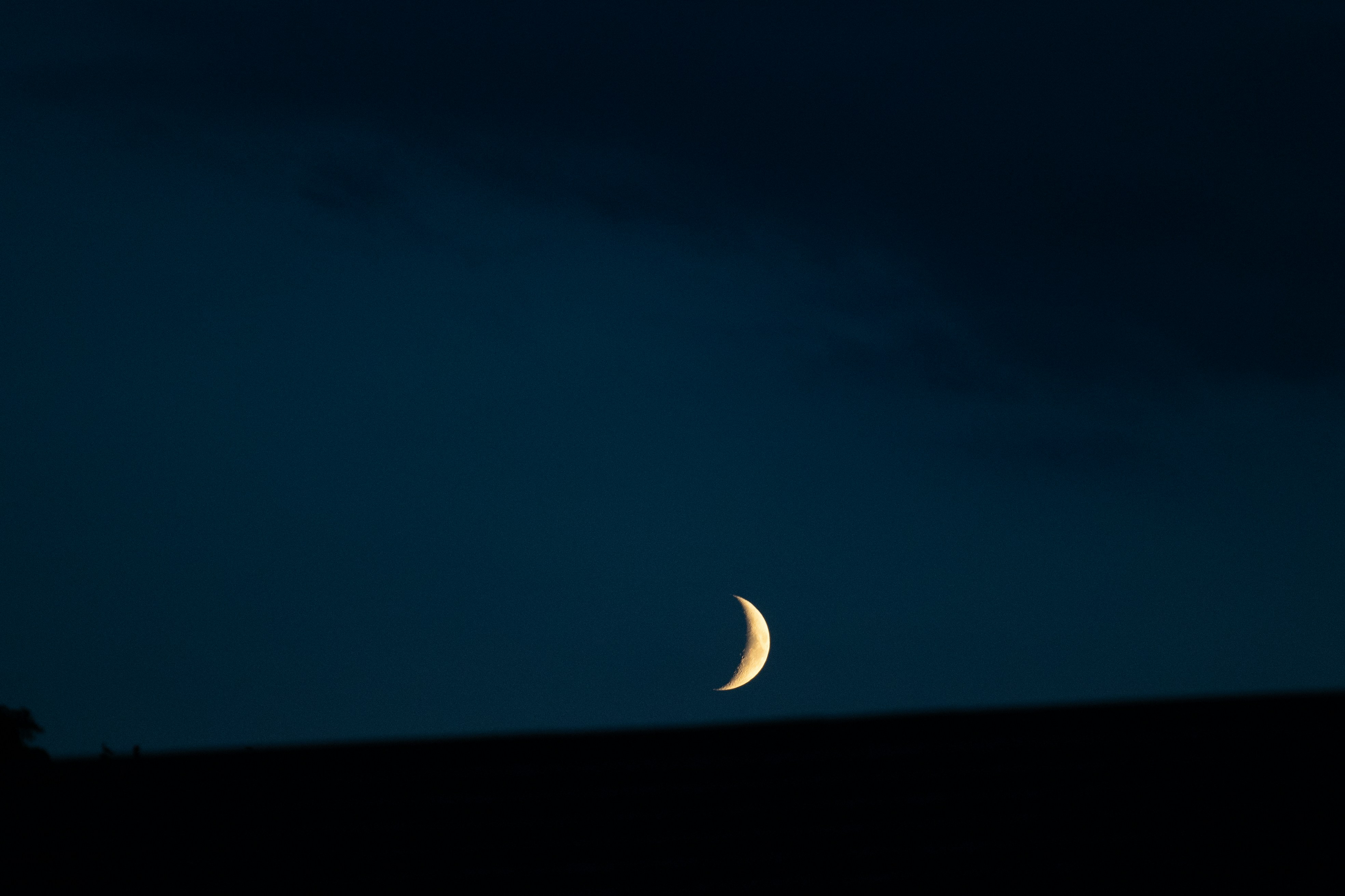 Photo by moritzmuecke