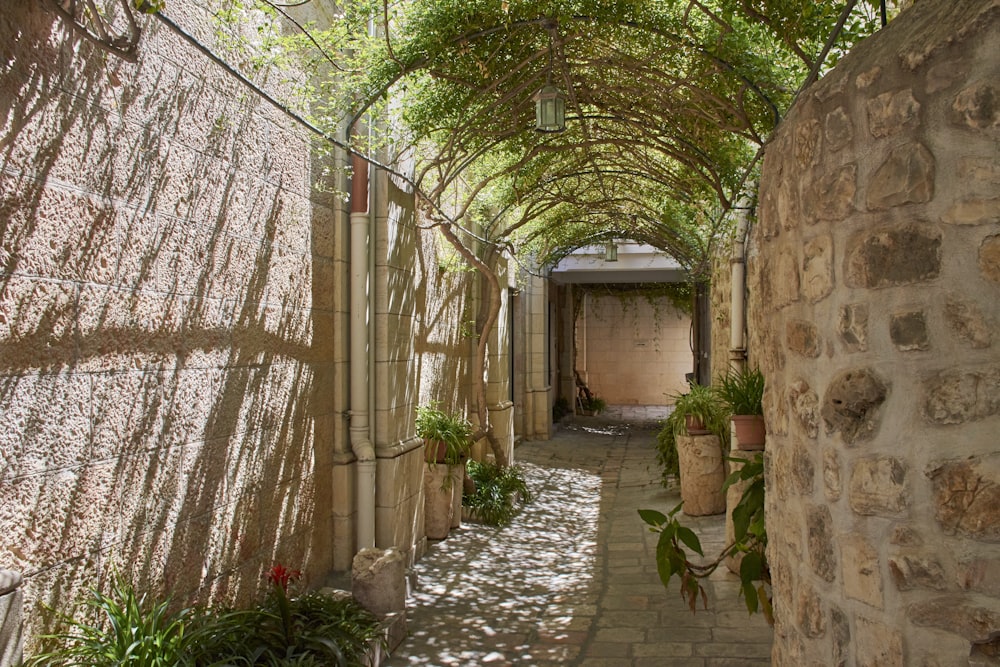 a narrow alley with a stone wall and a pergolated roof