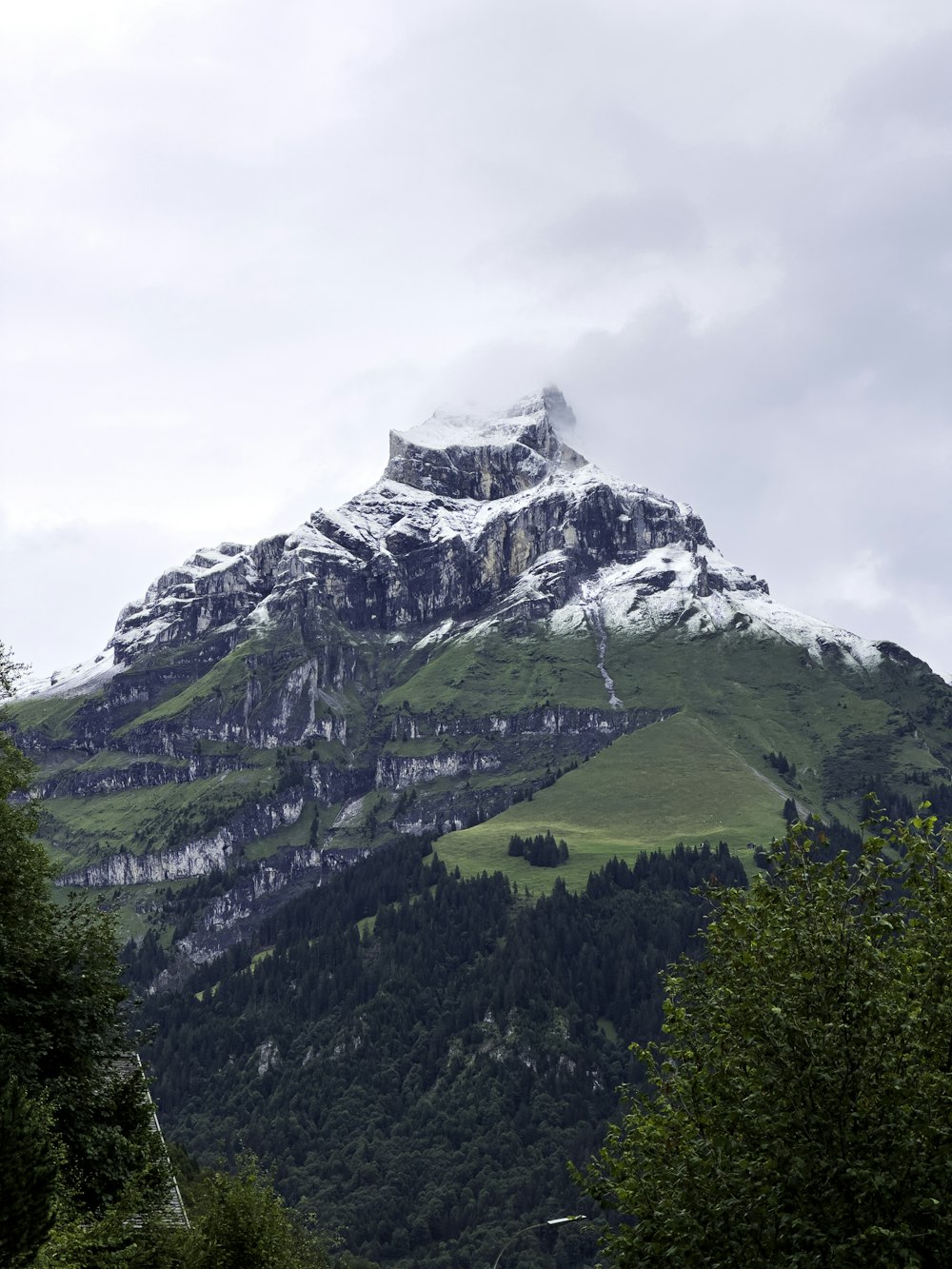 Une montagne enneigée avec des arbres au premier plan