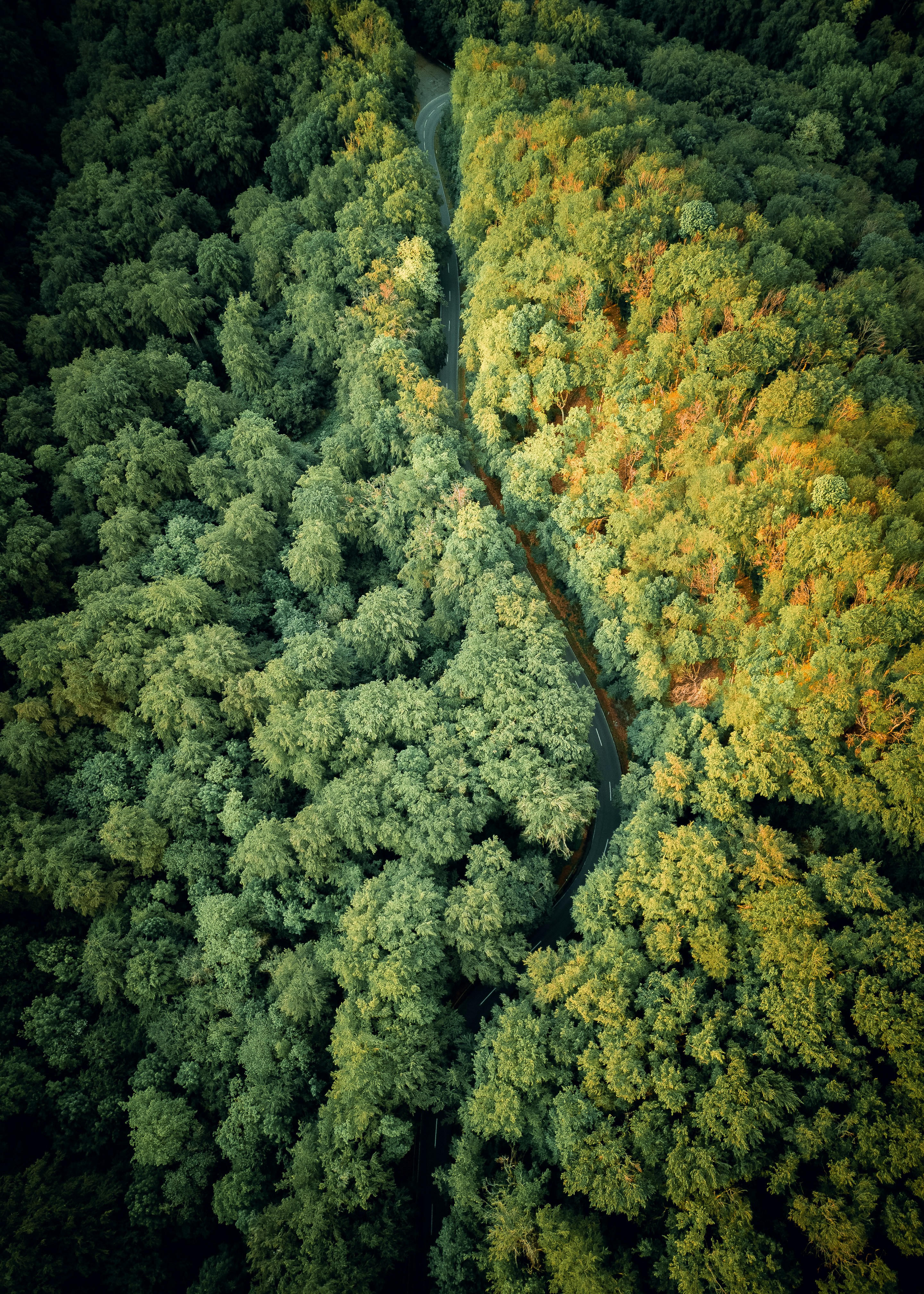 Photo by stphotographer