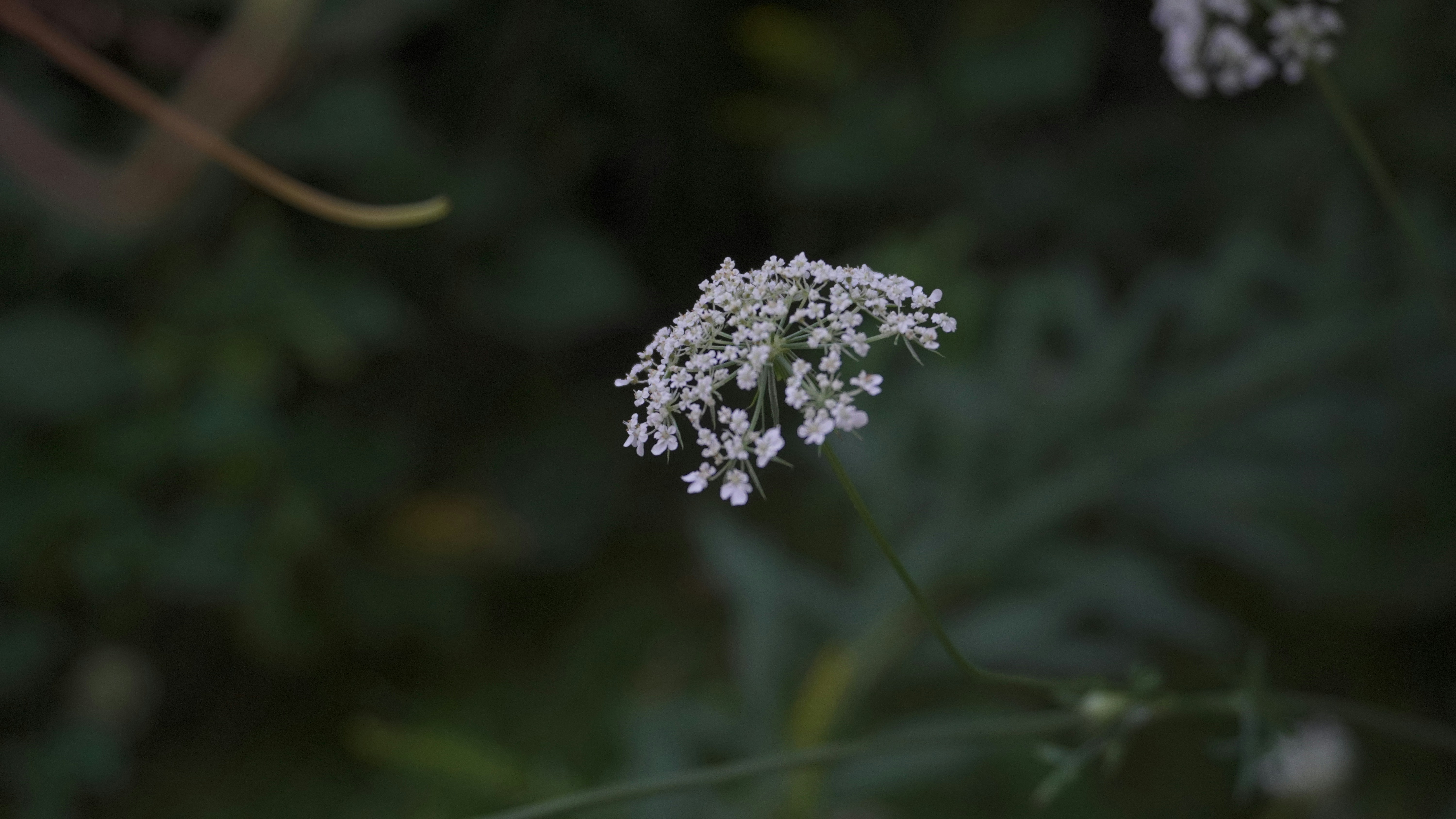 Photo by siddarthmehraajm