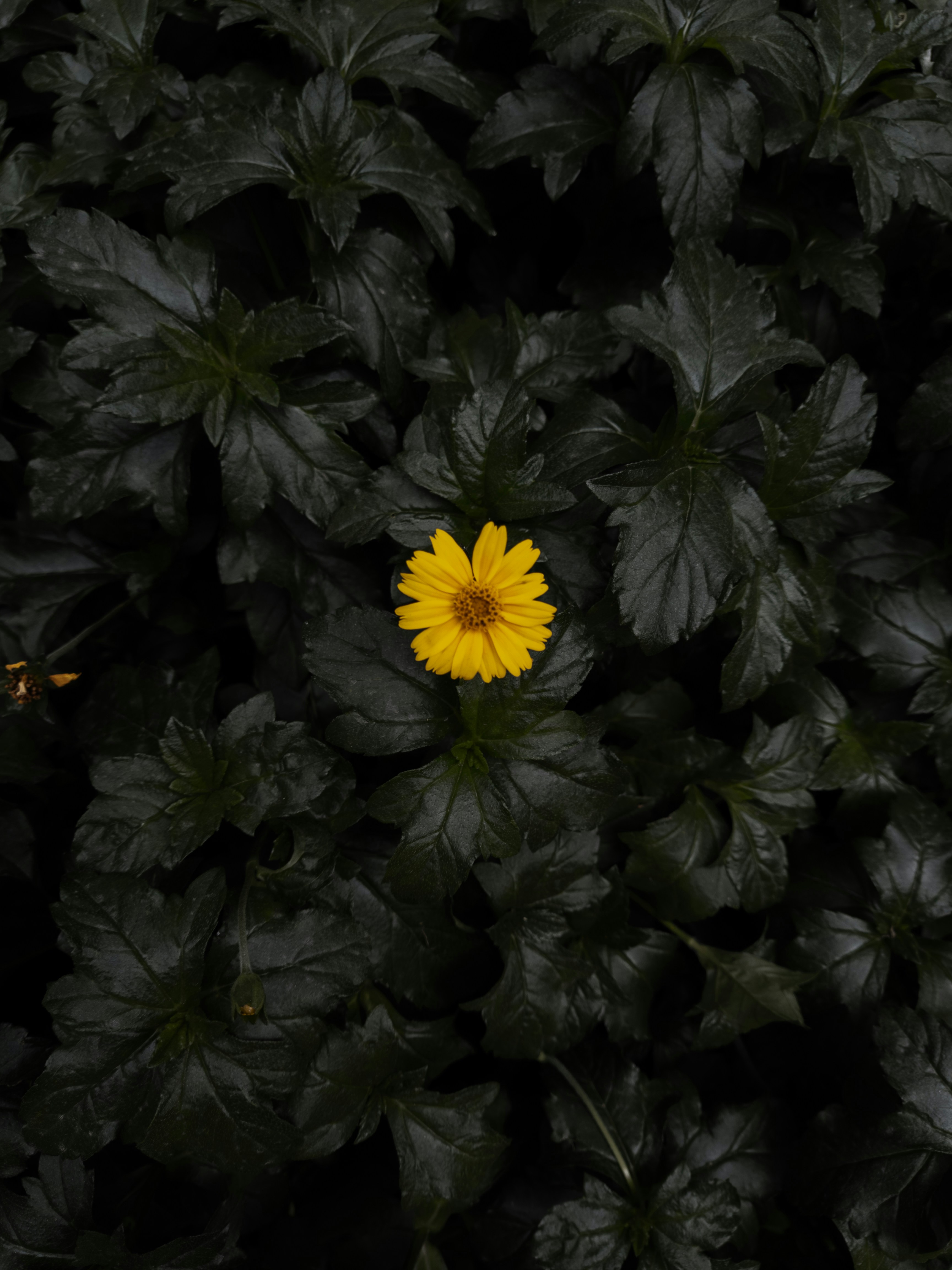 Photo by aplhacharlie62