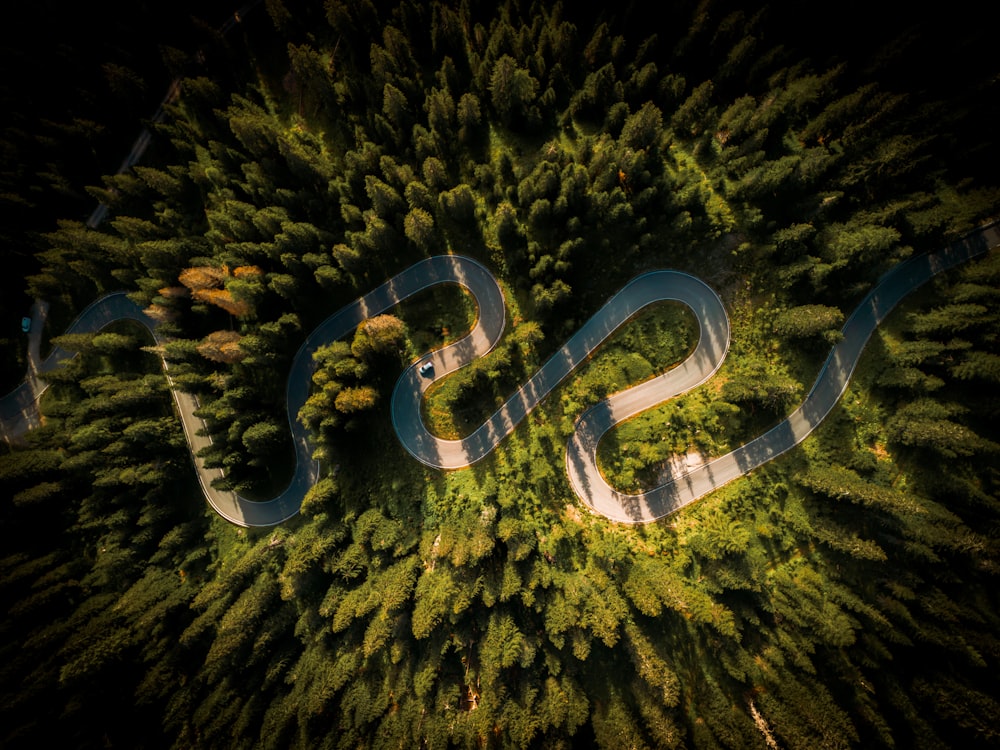 an aerial view of a road surrounded by trees