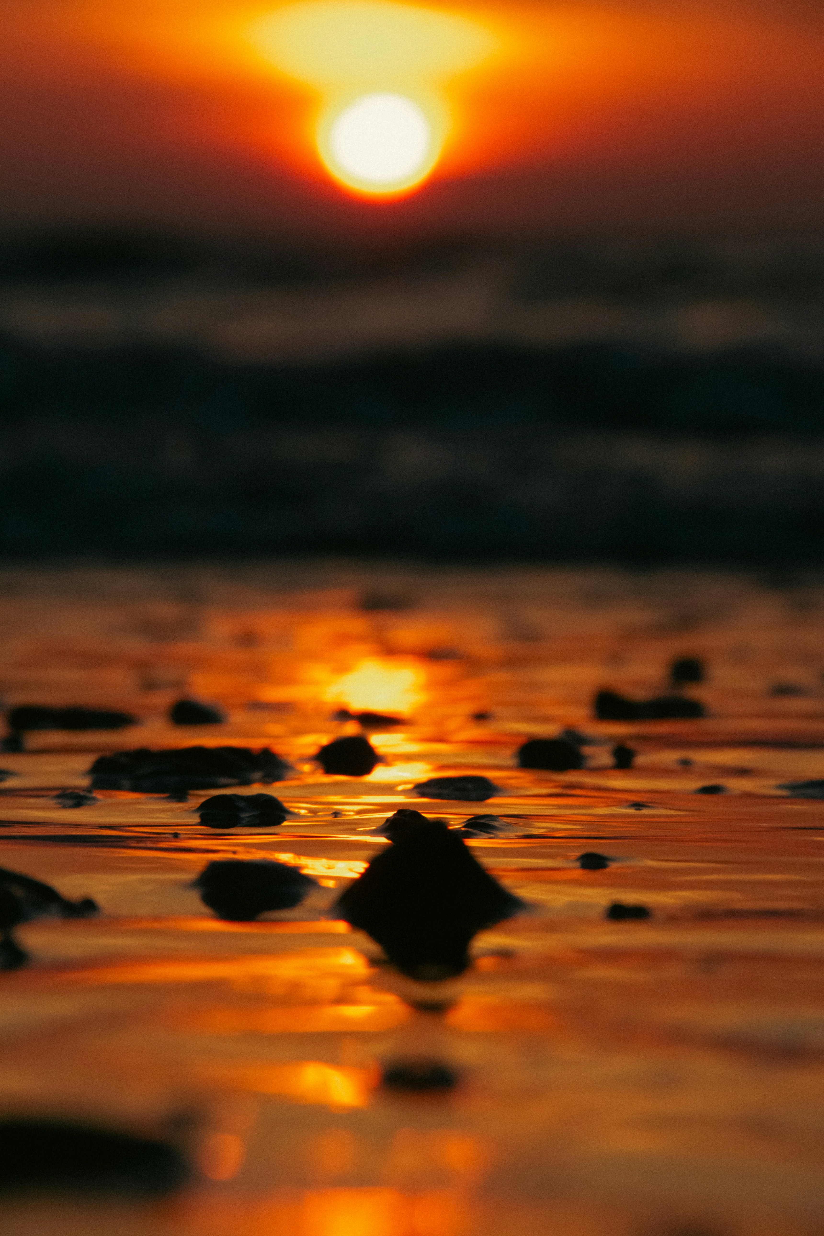 Photo by charlieh_viewfinder