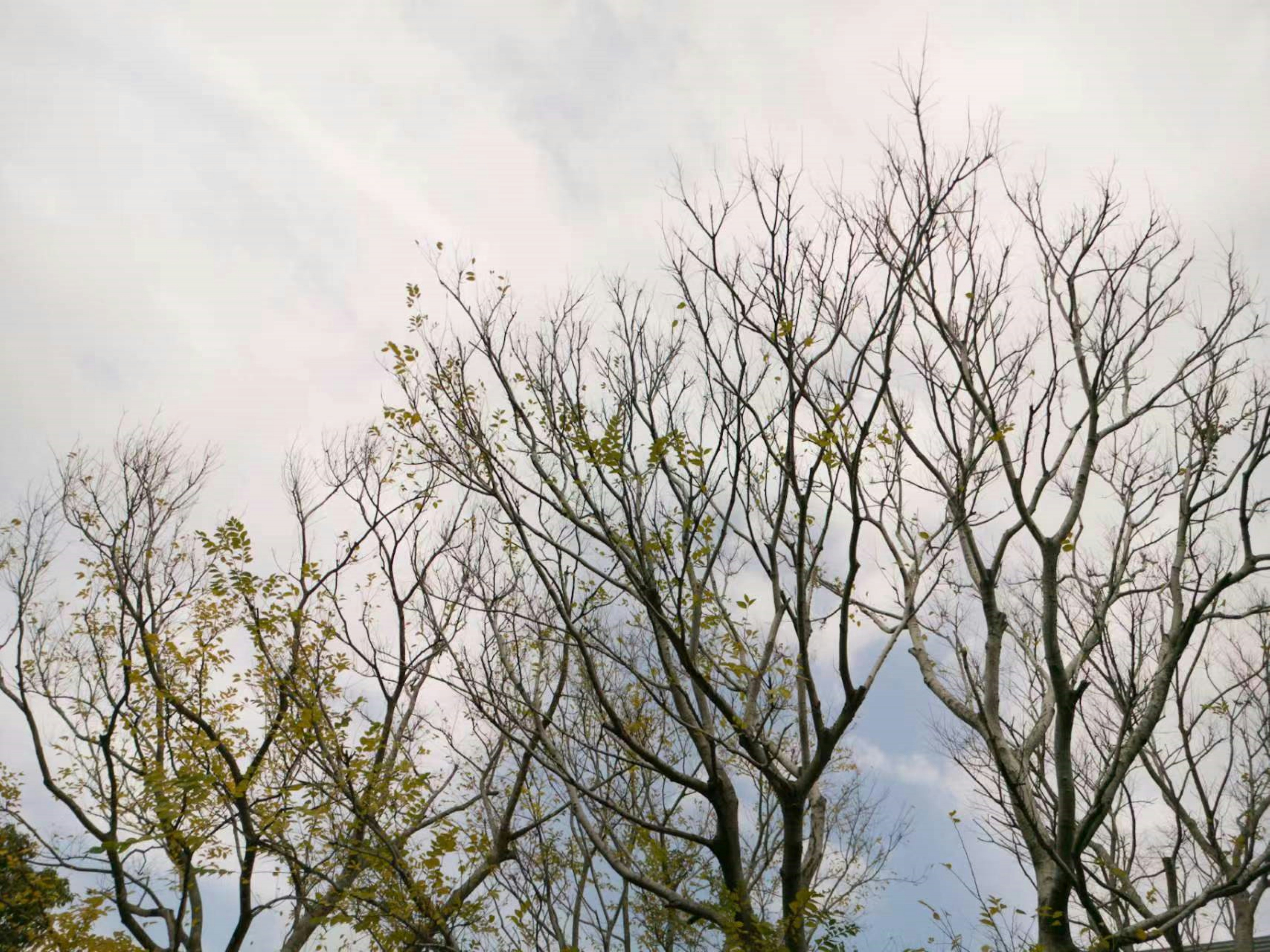 Photo by panabarbara