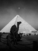 A black and white photograph featuring a large pyramid under a moonlit sky with a camel in the foreground. People are visible walking near the structure and several vehicles are parked nearby. The distinct texture of the pyramid's surface is evident, adding to the historic ambiance.