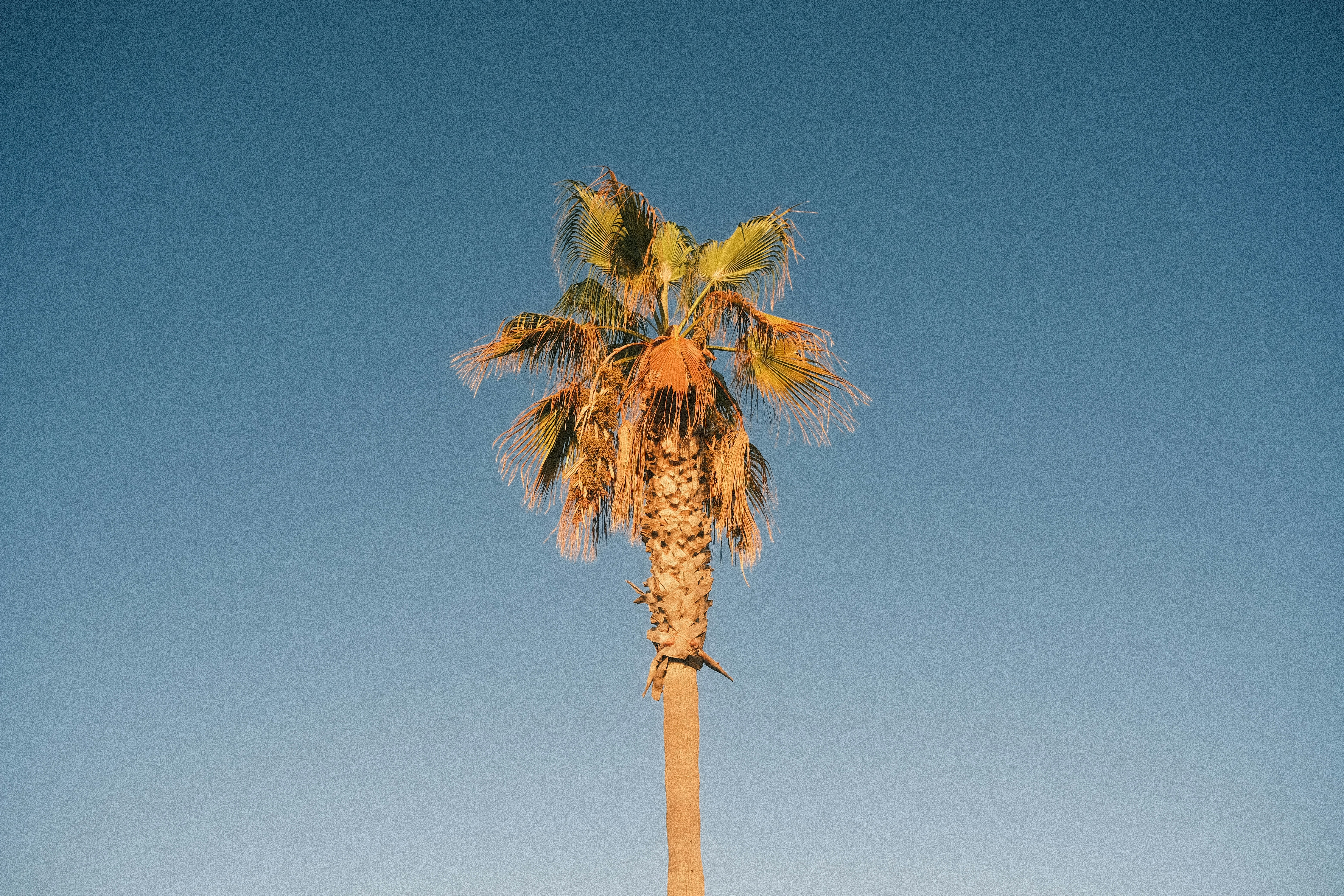 Photo by visualsbying