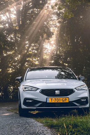 A modern driving school car parked beside a scenic road with soft sunlight.