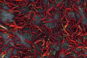 Bright red dried chili peppers scattered on a white background with price $10 per 100g