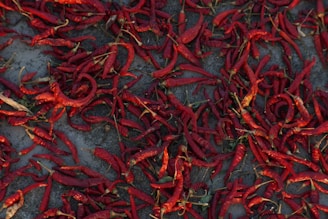 Bright red dried chili peppers scattered on a white background with price $10 per 100g