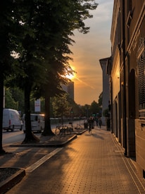 The image captures a city street at sunset, with the golden light illuminating the sidewalk and the side of the building. Trees line the left side of the street, casting shadows. A cyclist is riding along the path, and a few vehicles can be seen on the road. Bicycles are parked next to the trees.