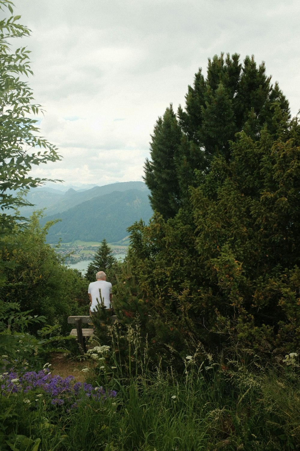 a man sitting on a bench in the middle of a forest