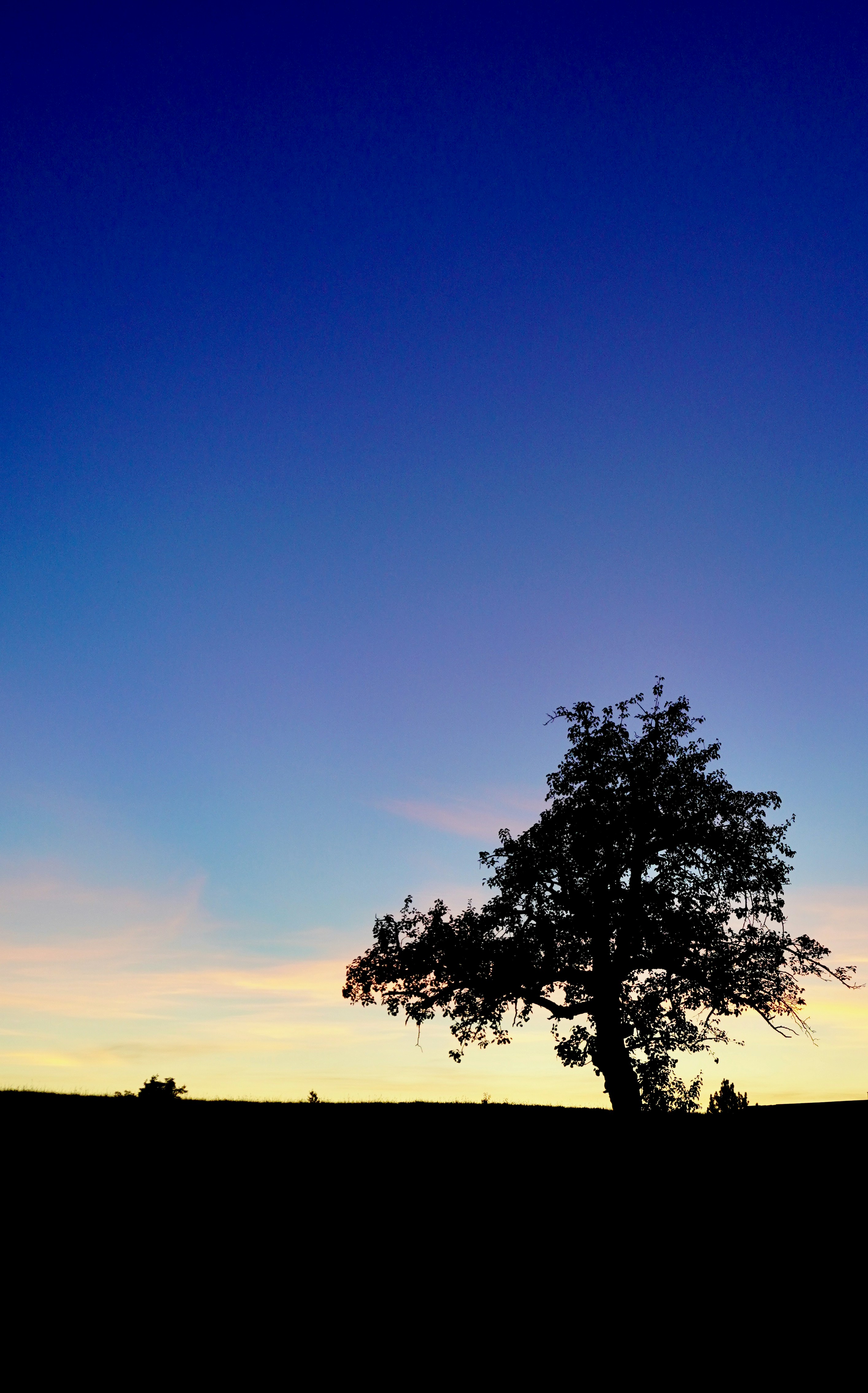 Photo by peterburdon