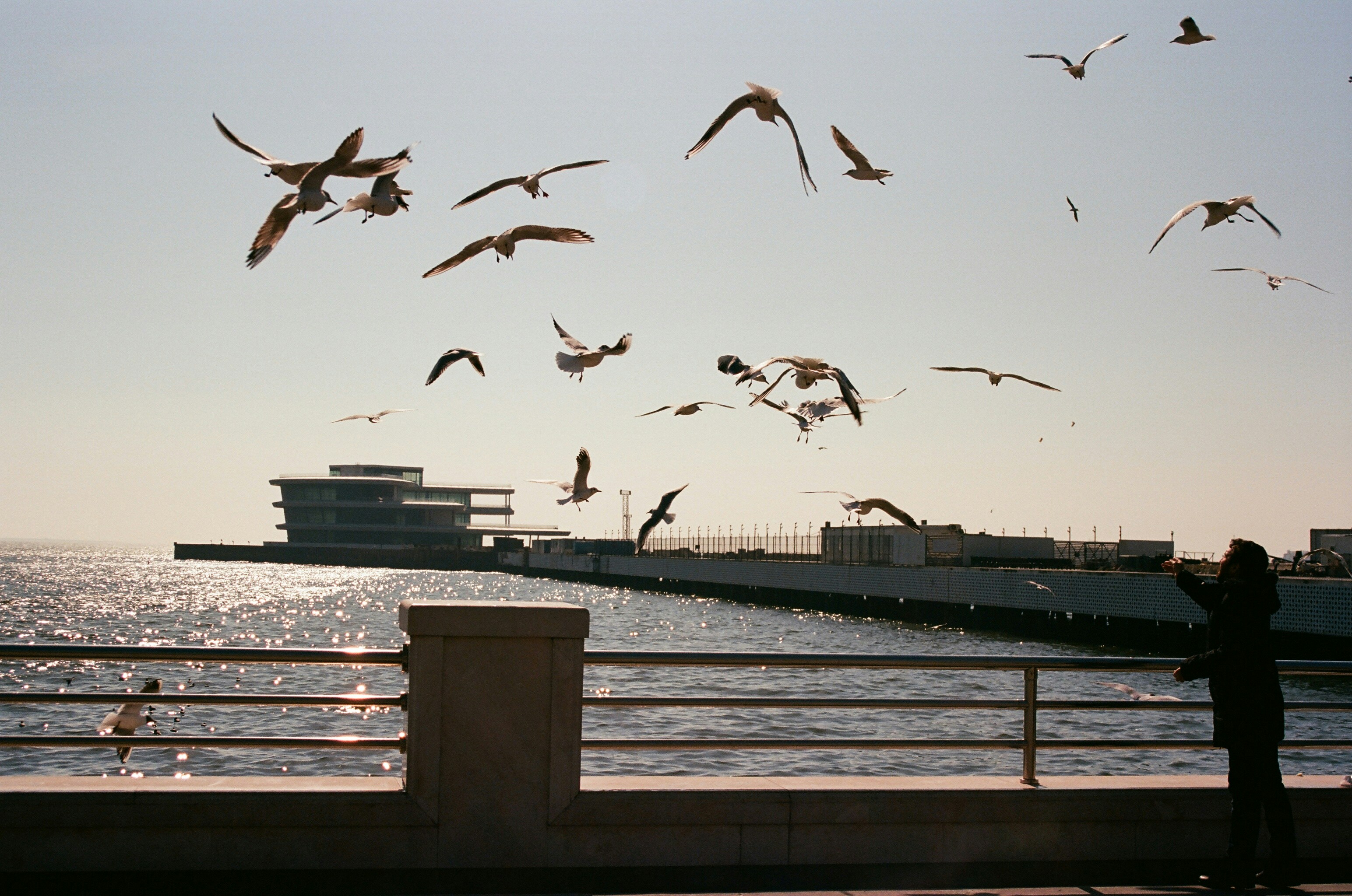 Photo by cosmvs