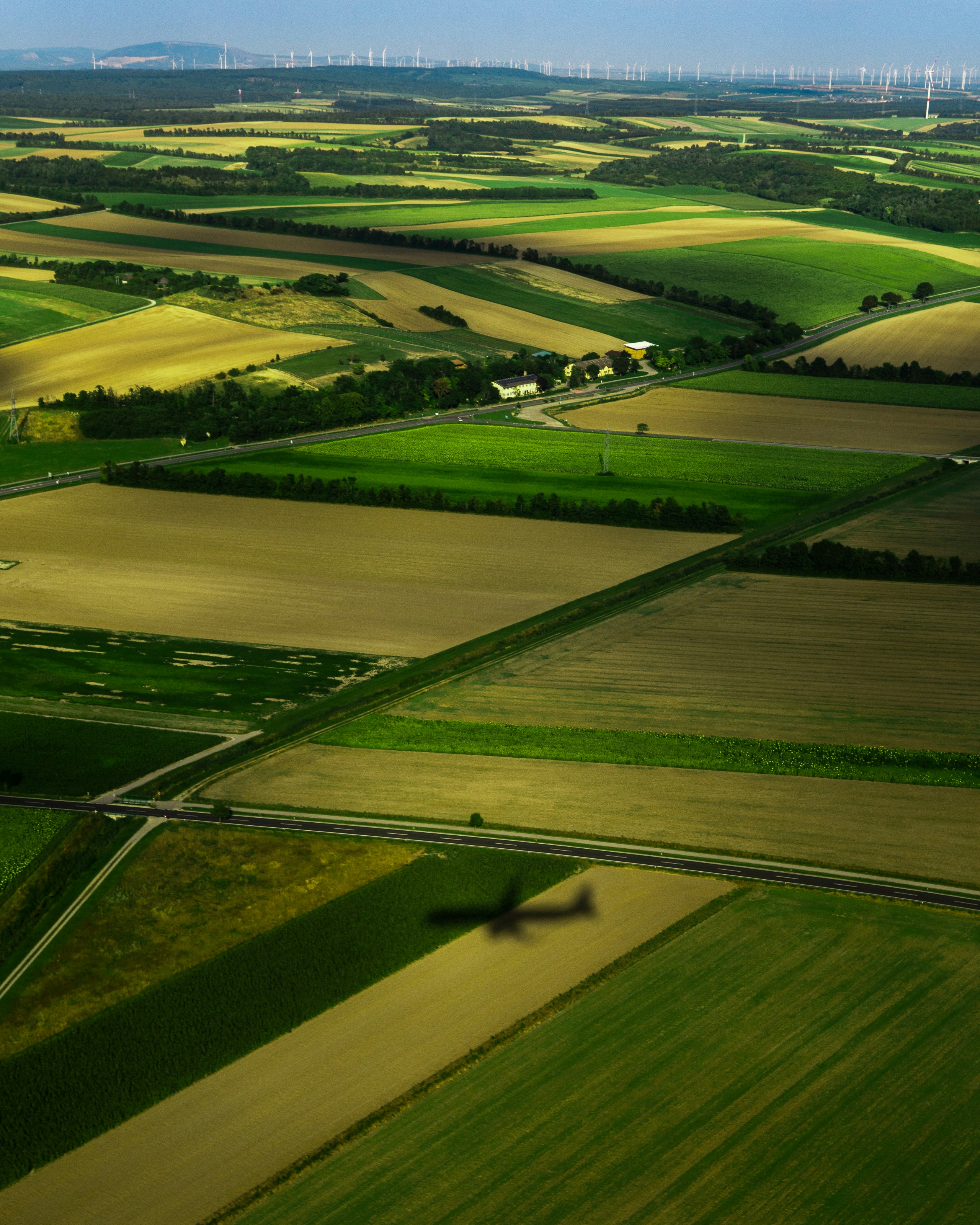 an aerial view of a field with a bird flying over it