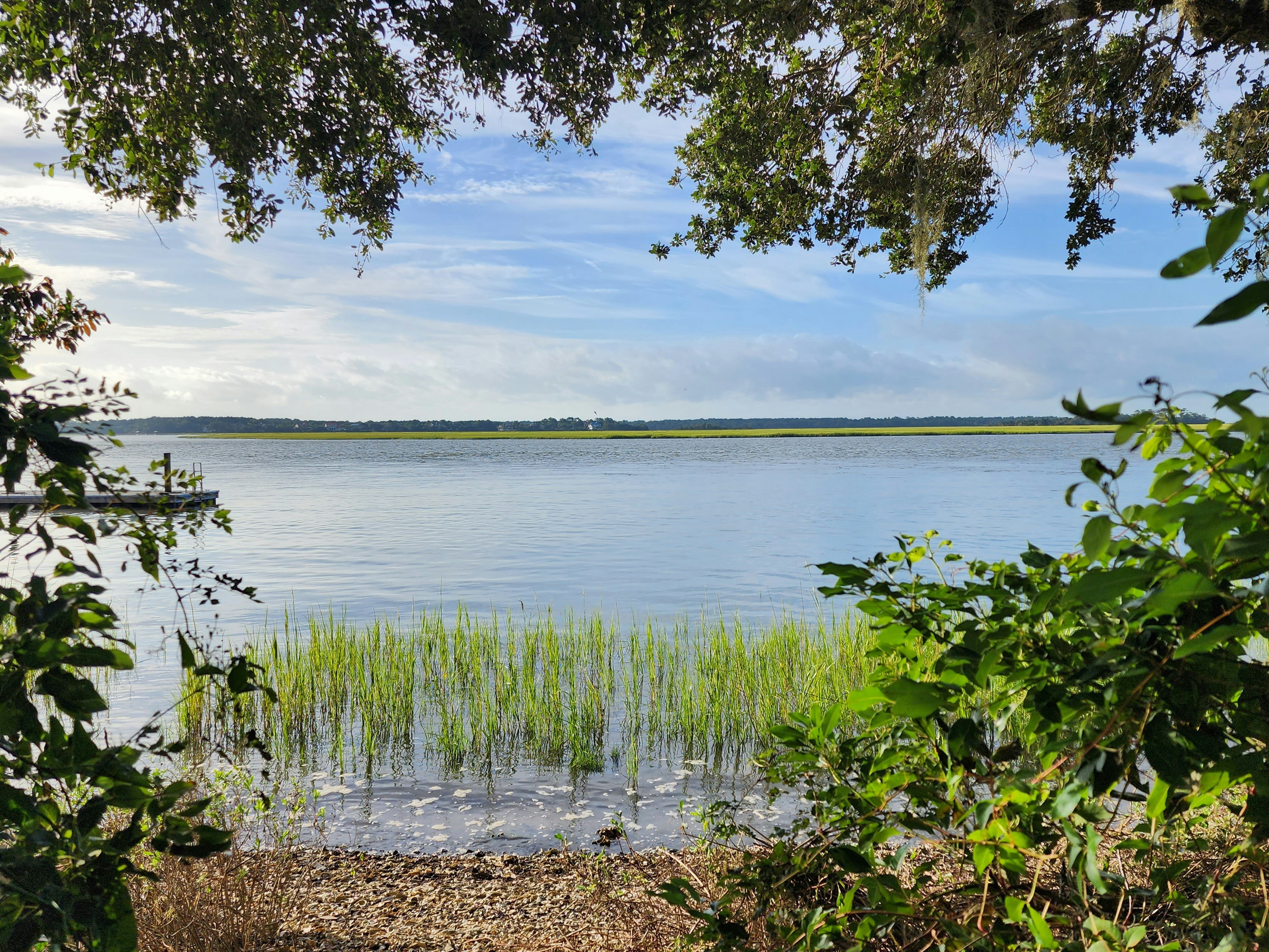 Photo by harindranvikram