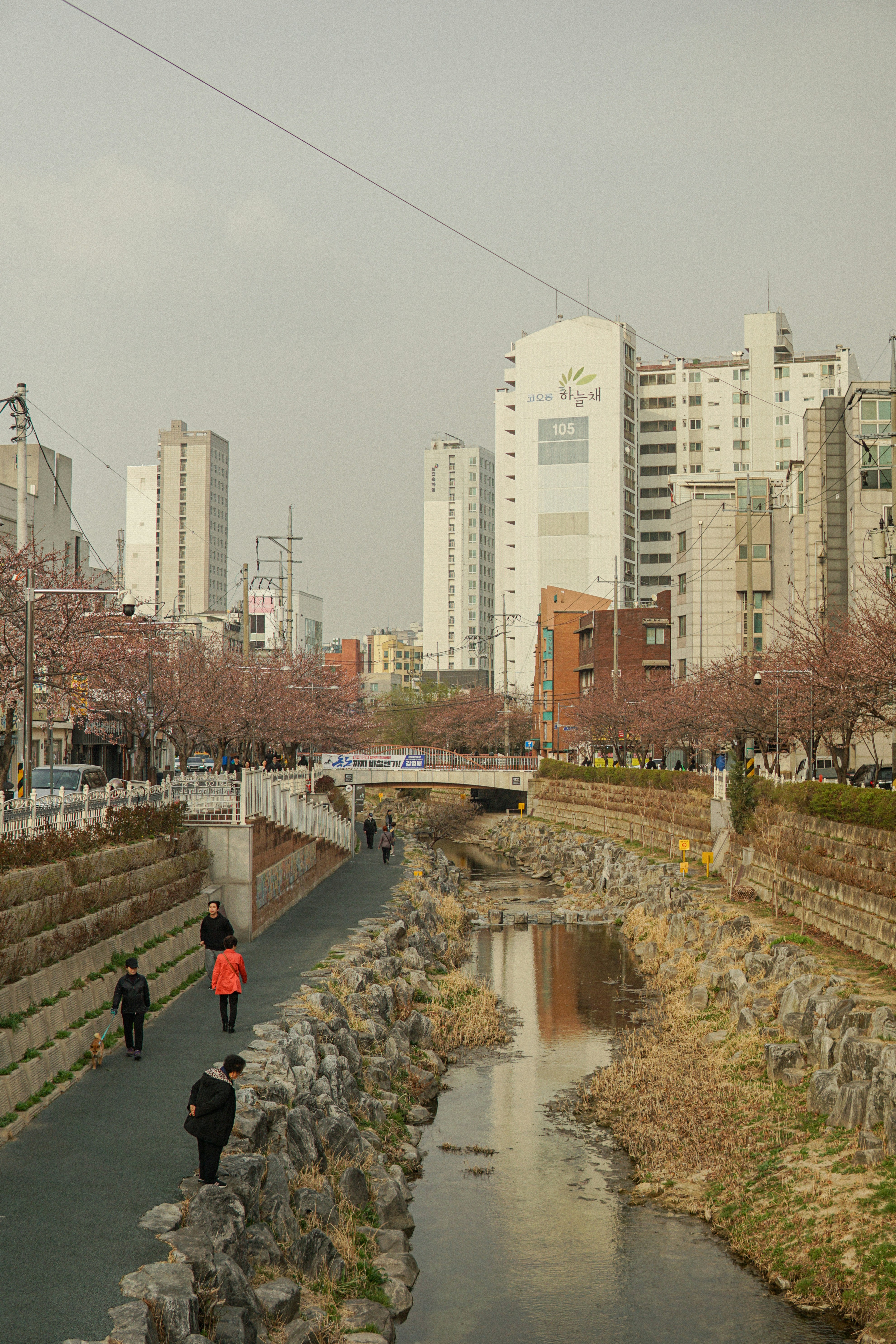川のそばの通りを歩く人々のグループ