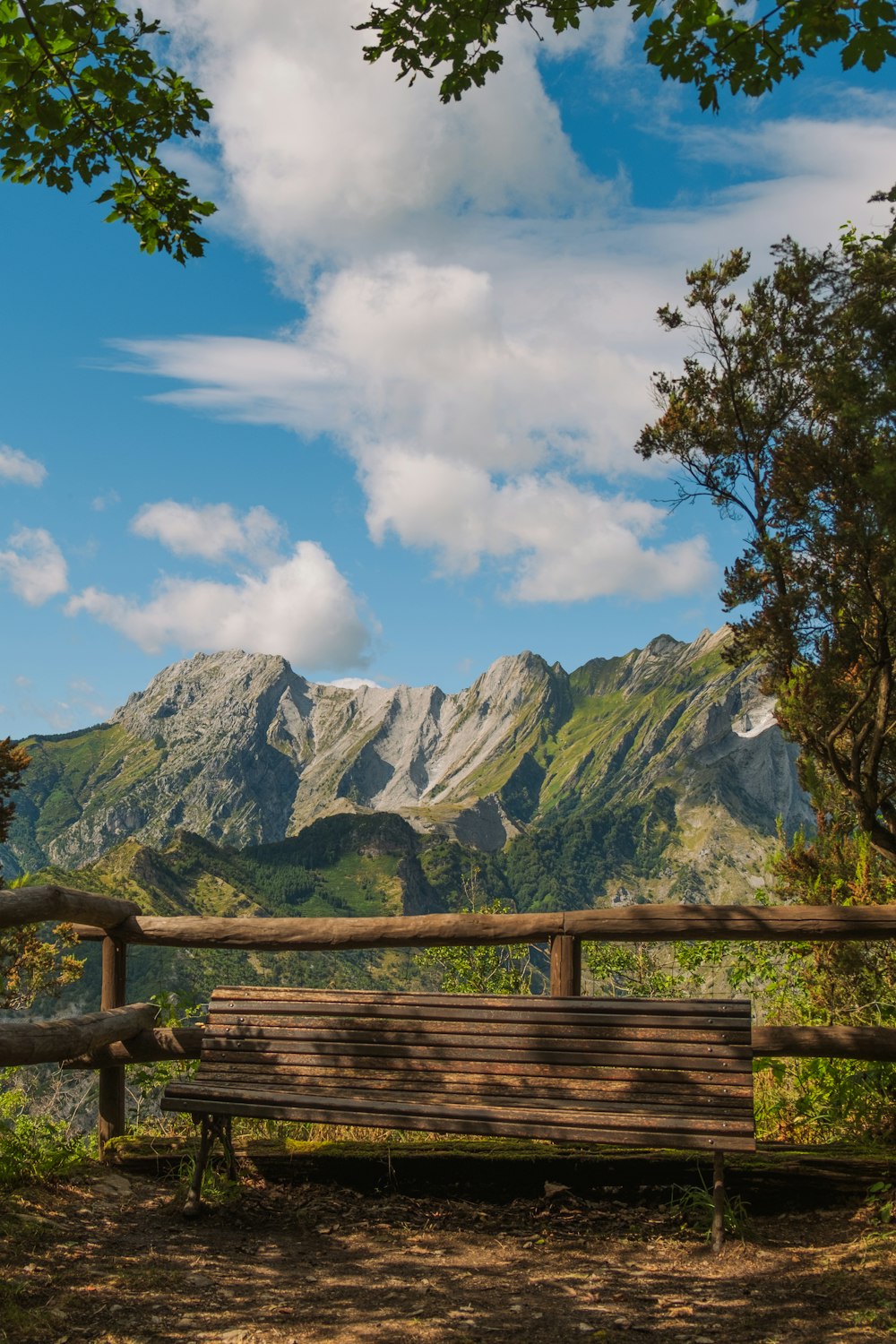 a wooden bench sitting in the middle of a forest