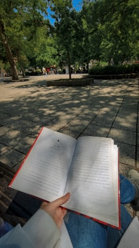 A person reading a book in a sunlit park.