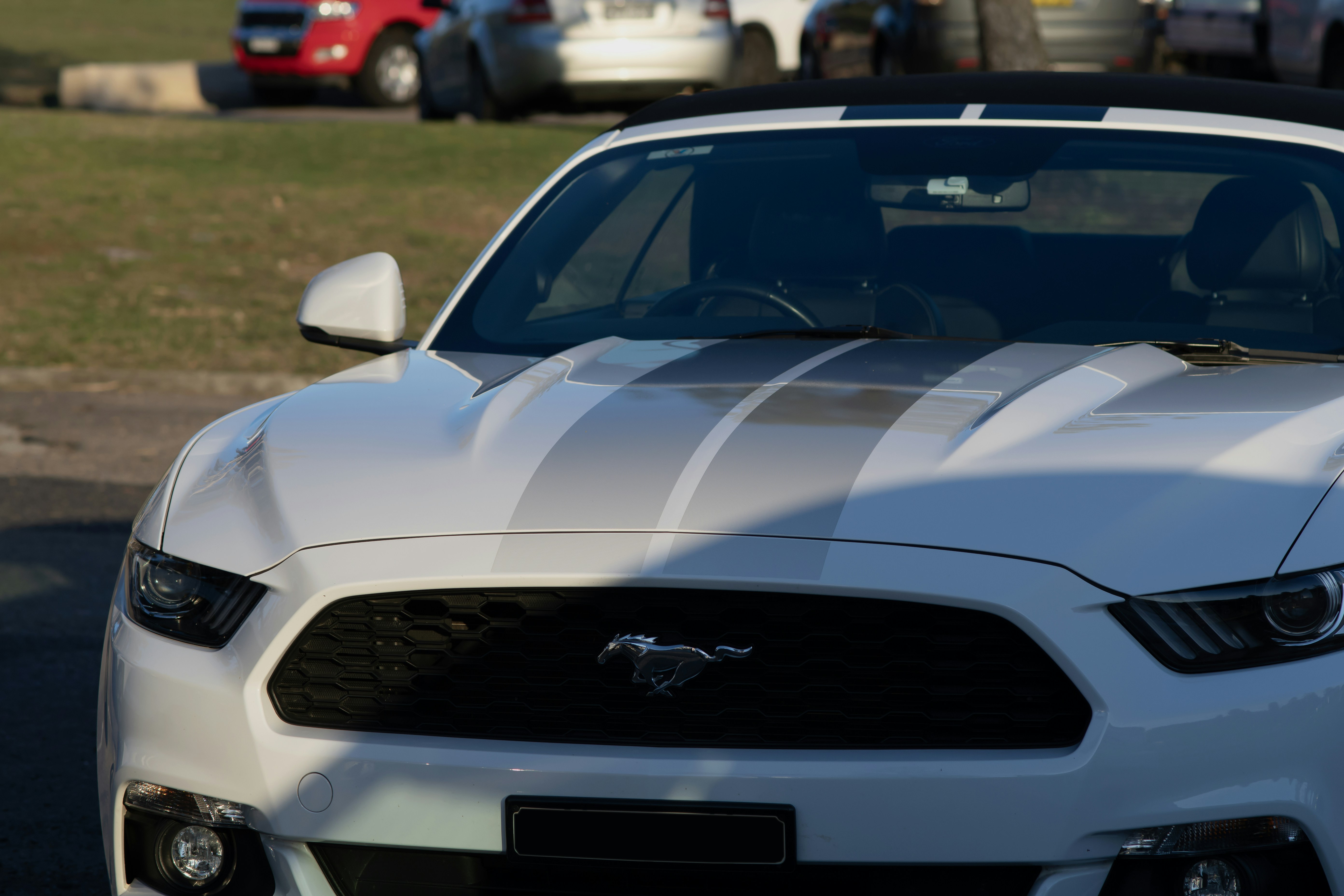 Photo by vanleer_photography