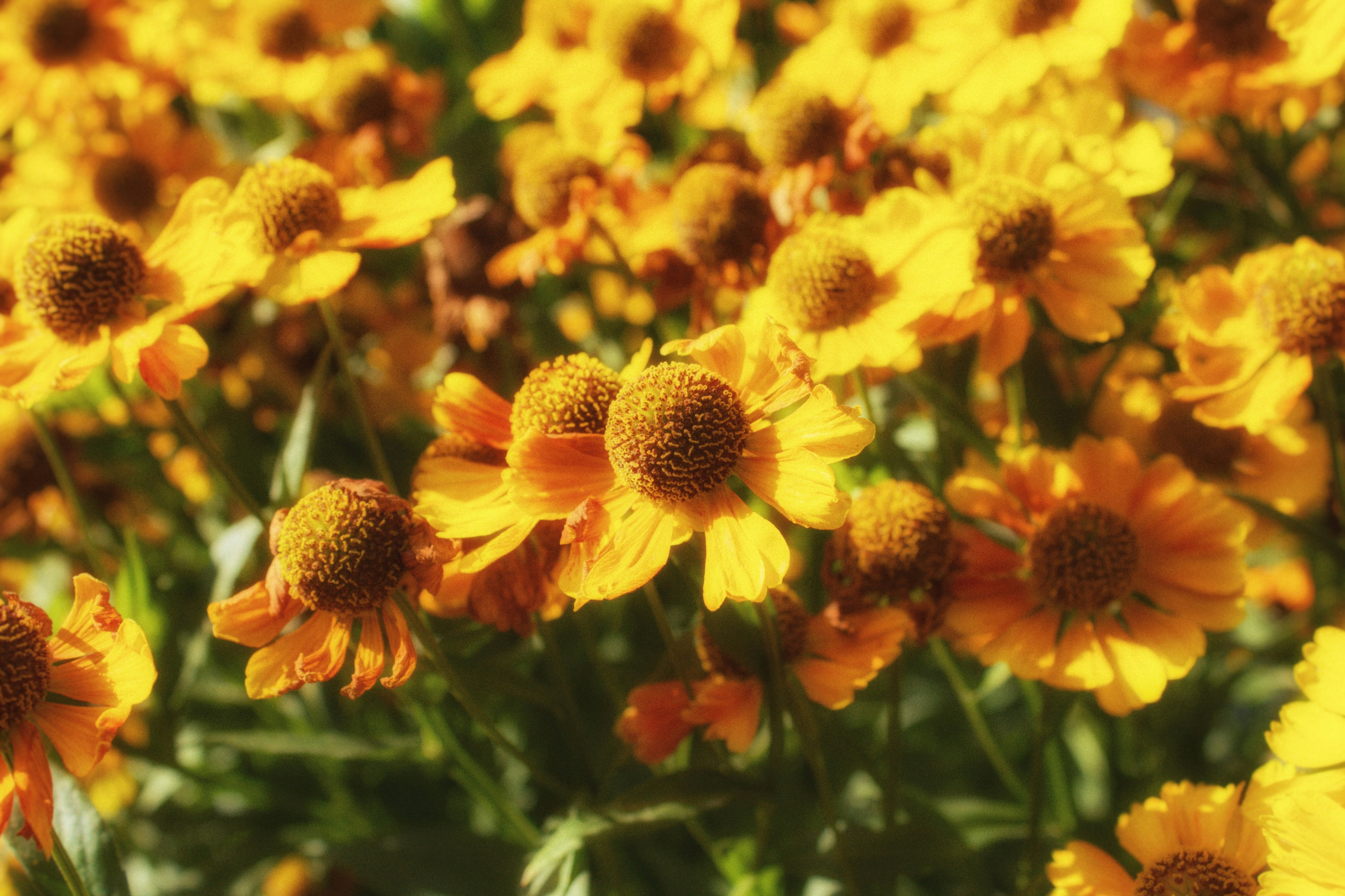 Photo by maximyuryshev