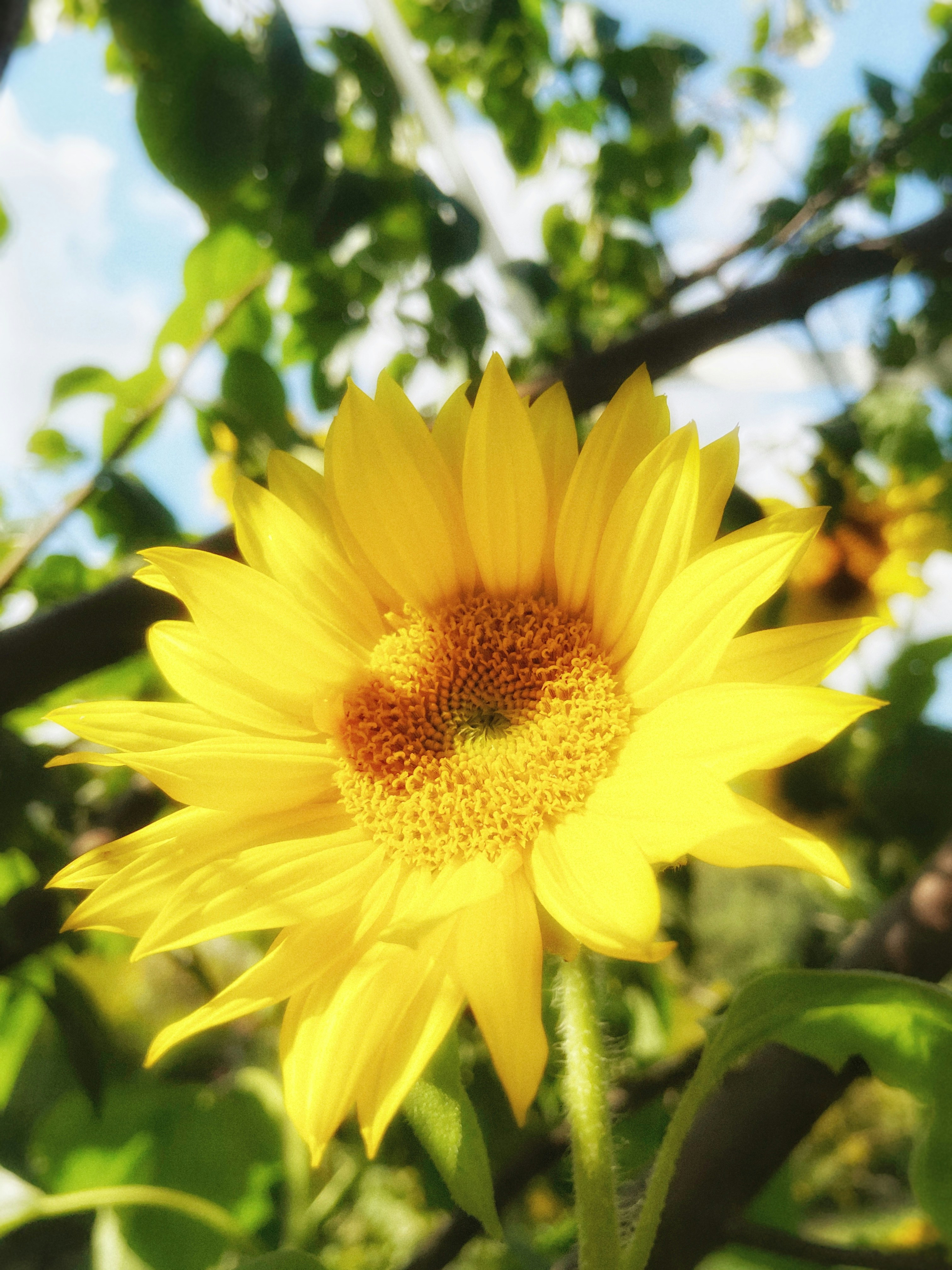 Photo by maximyuryshev