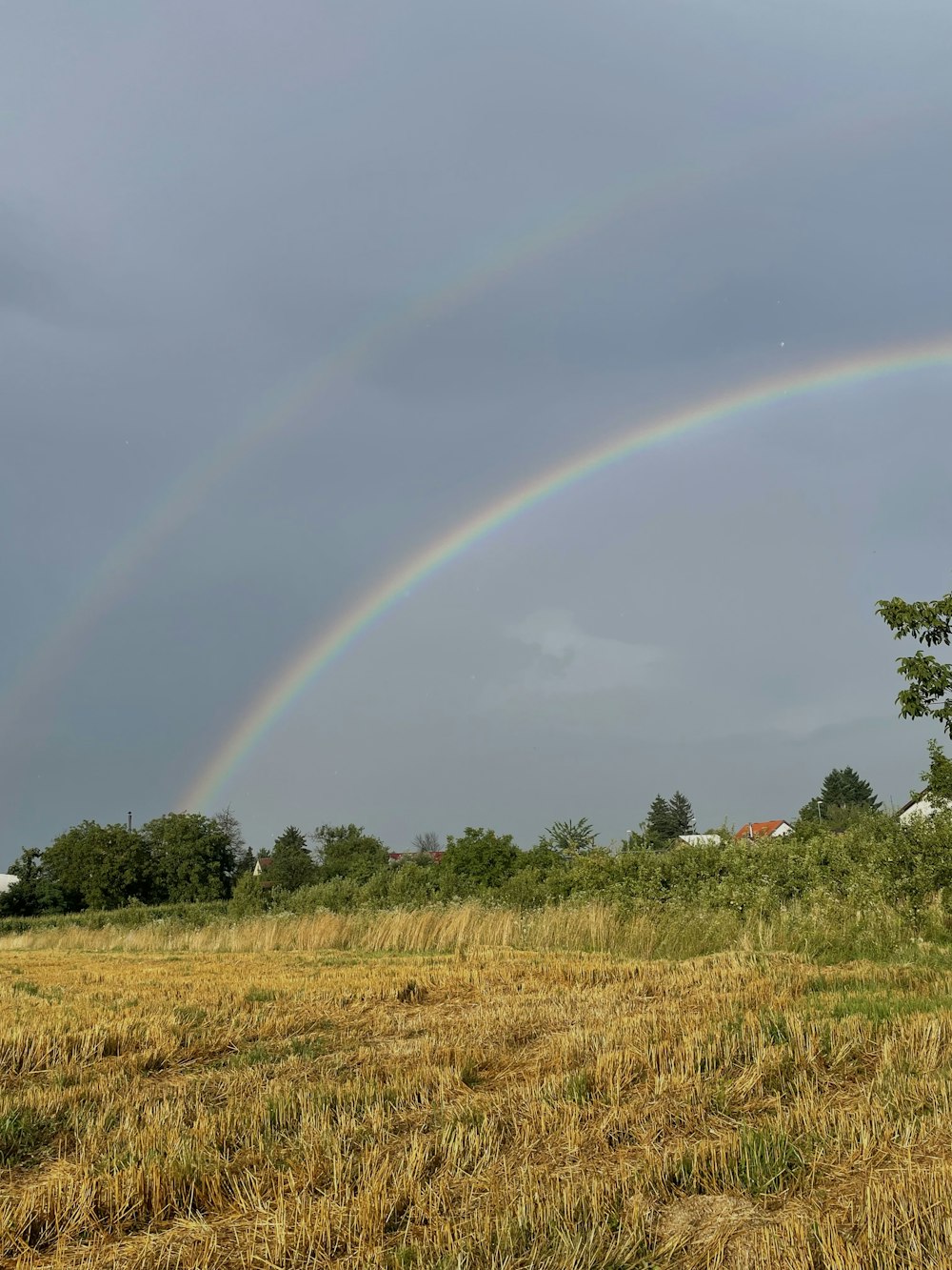 a double rainbow in the sky over a field