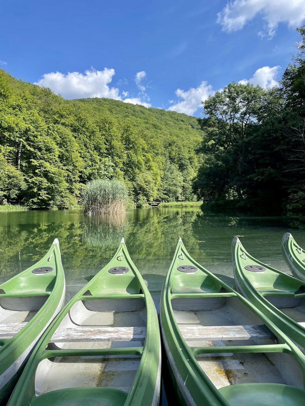 a group of green canoes sitting on top of a lake