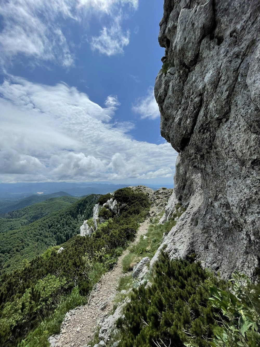 a rocky cliff with a trail going up the side of it