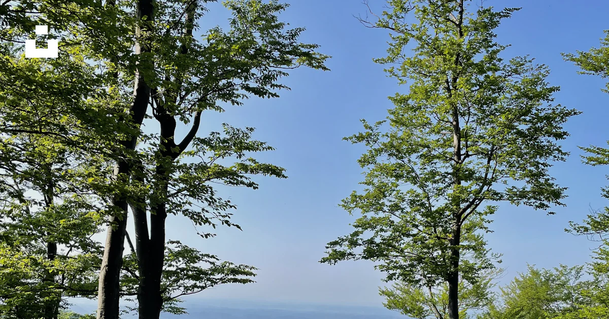 A scenic view of the mountains and trees photo – Free Vrh ivanščica ...