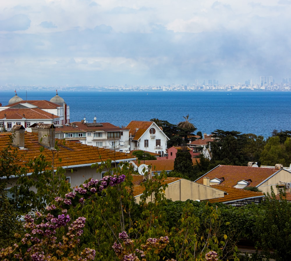 a view of a city with a body of water in the background