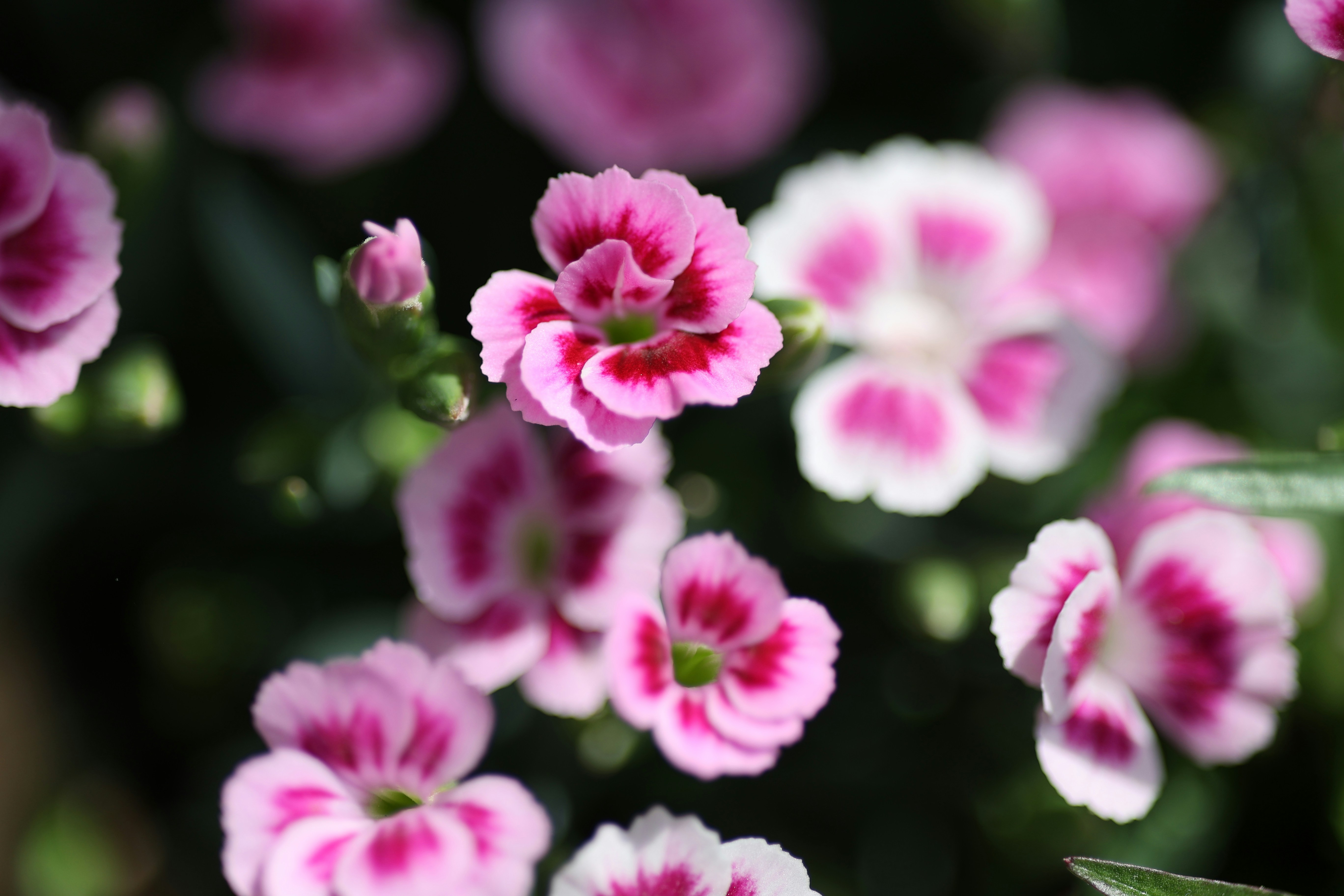 Photo by fotografstockholm